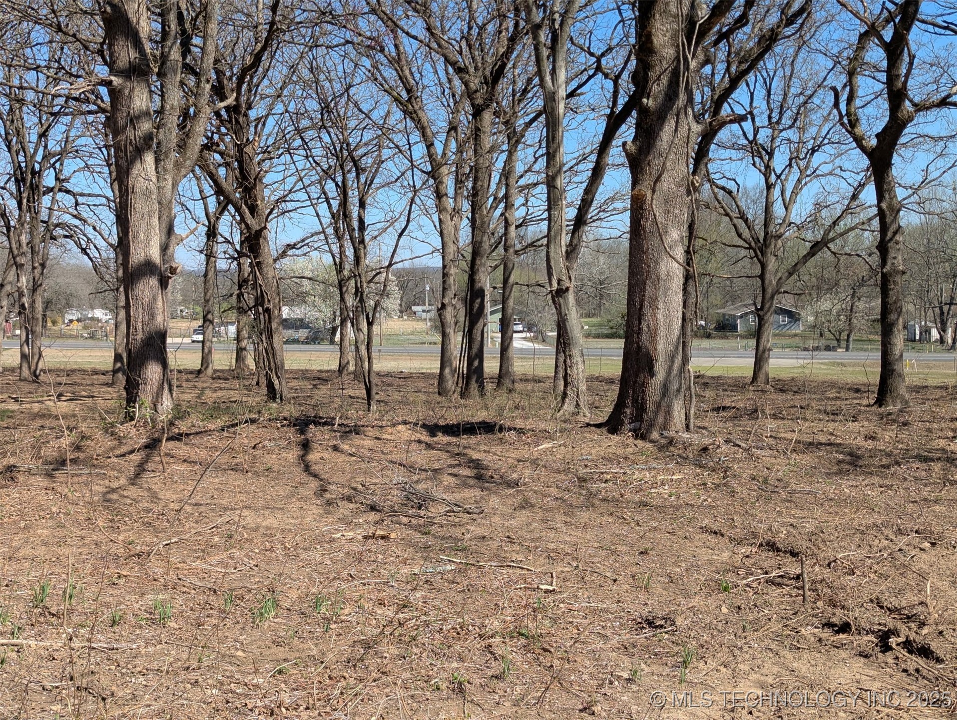 2358 Hwy 100 Property Photo 3