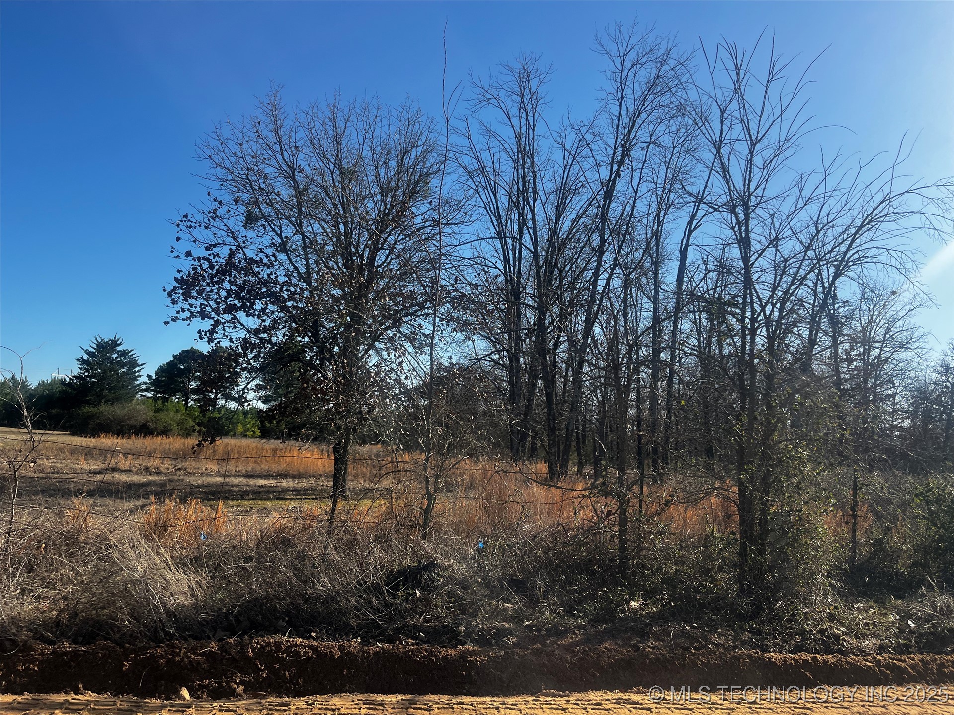 Shady Lane Property Photo