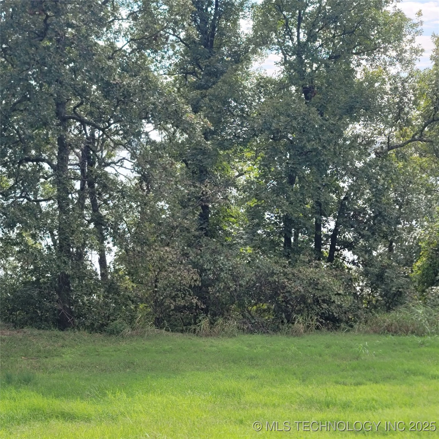 35 E Breckenridge Property Photo 5