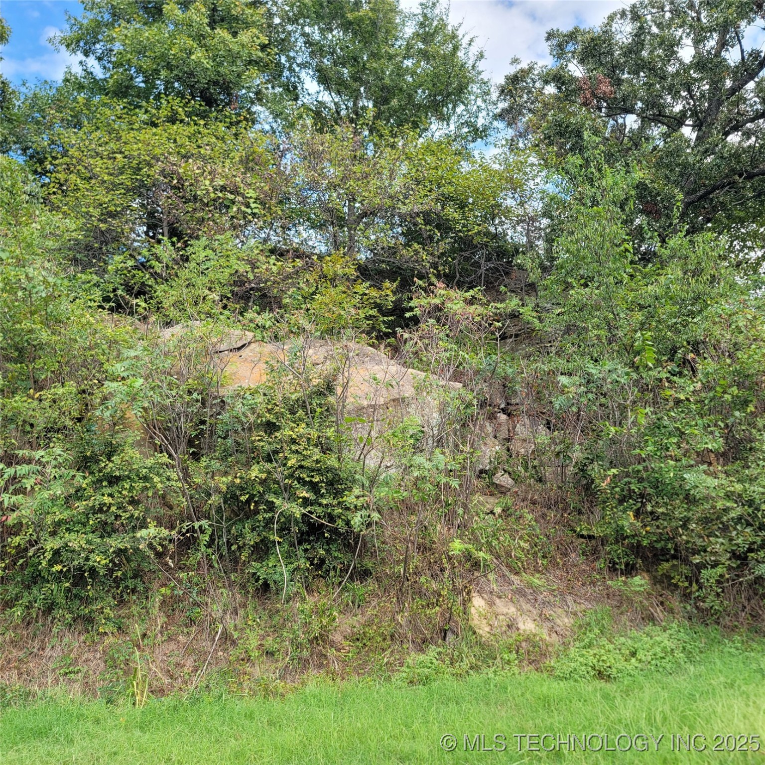 35 E Breckenridge Property Photo 18
