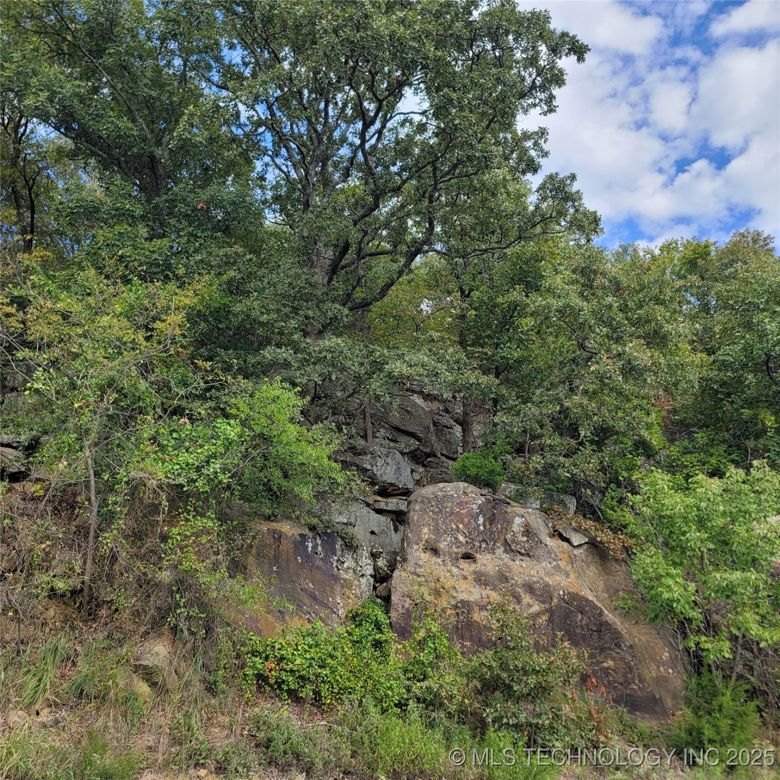 35 E Breckenridge Property Photo 19