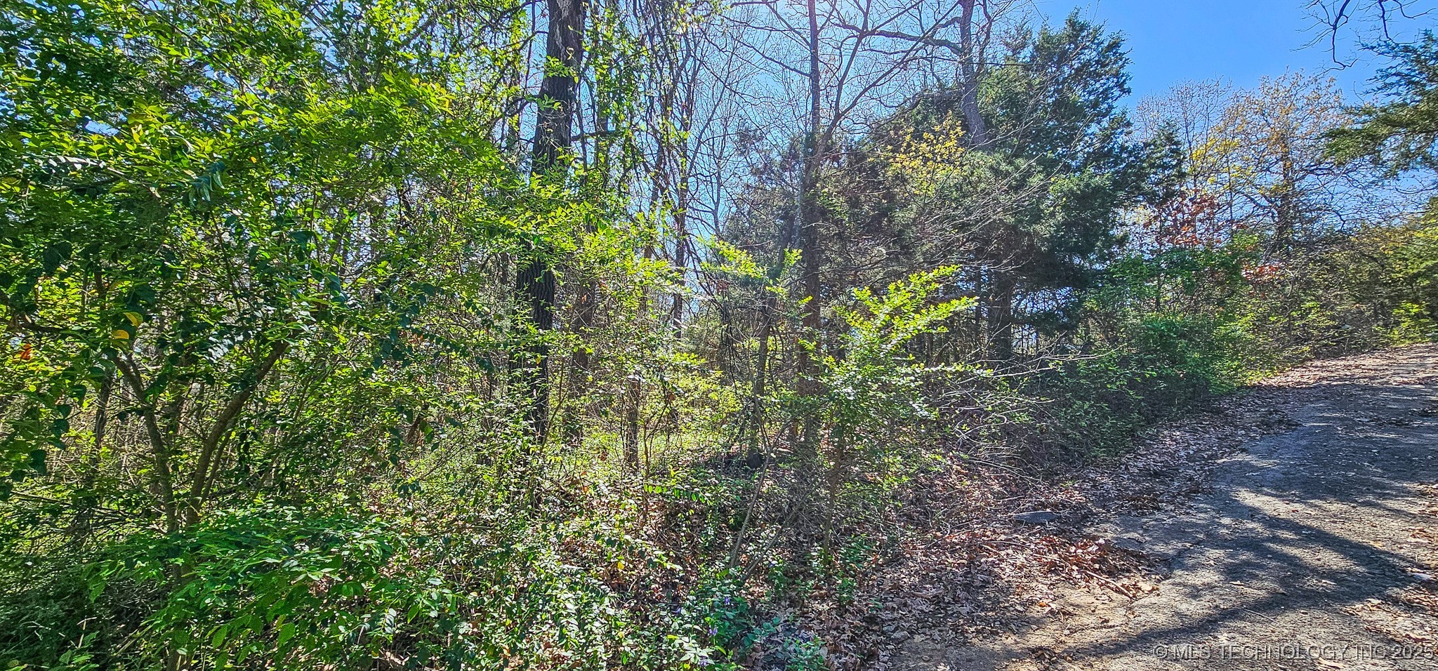4 Border Street Property Photo