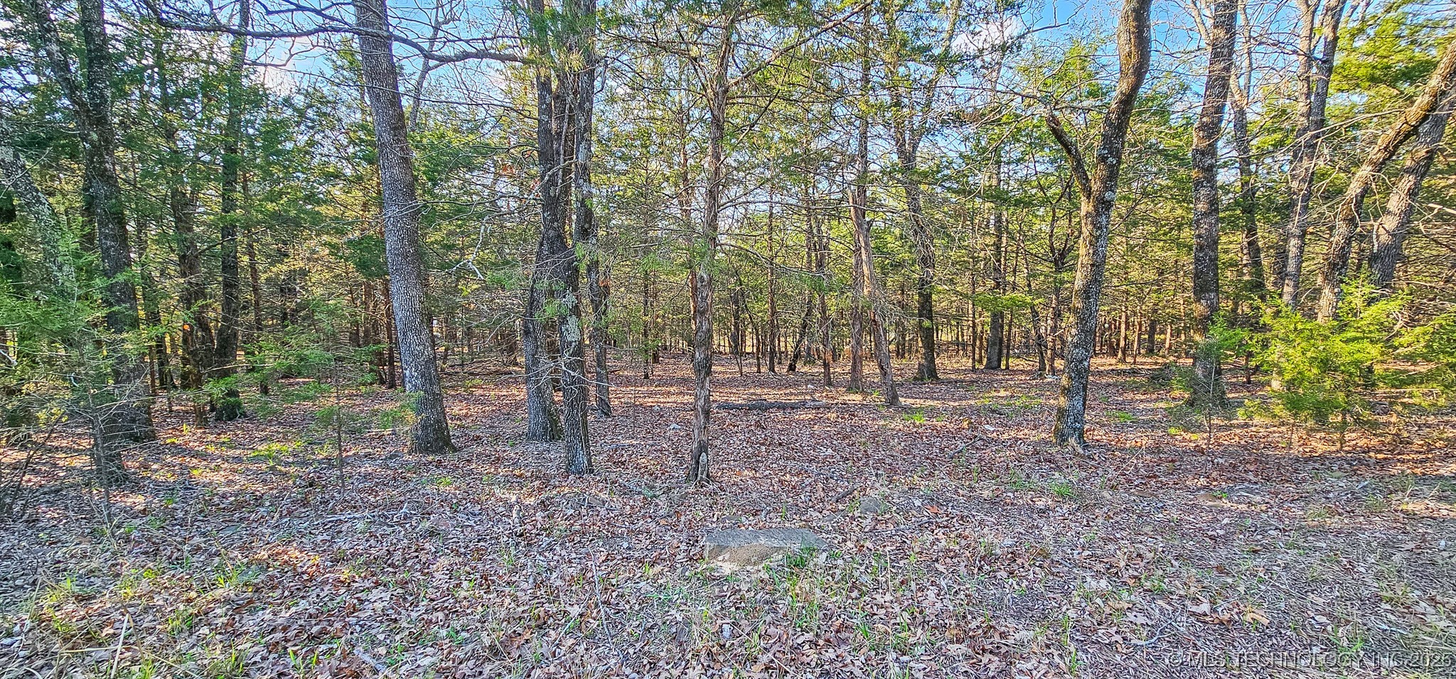11 Buds Point Property Photo 6