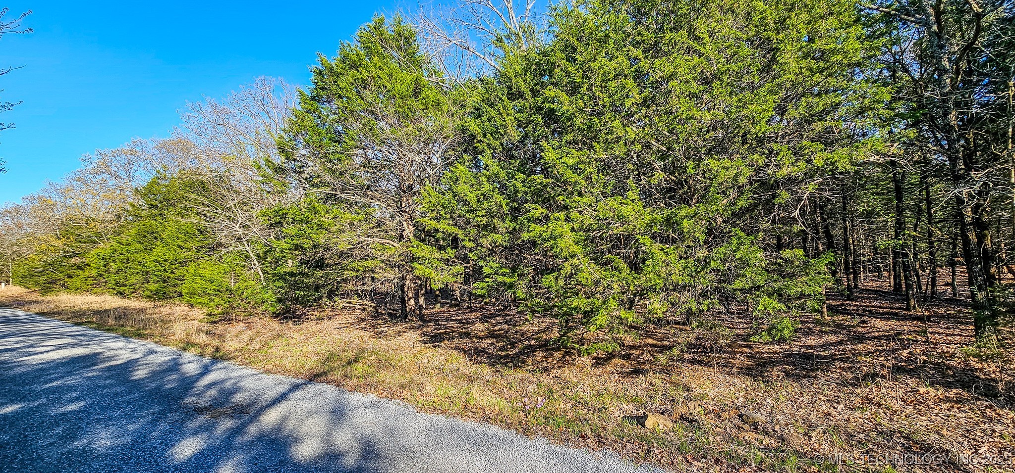 11 Buds Point Property Photo 7