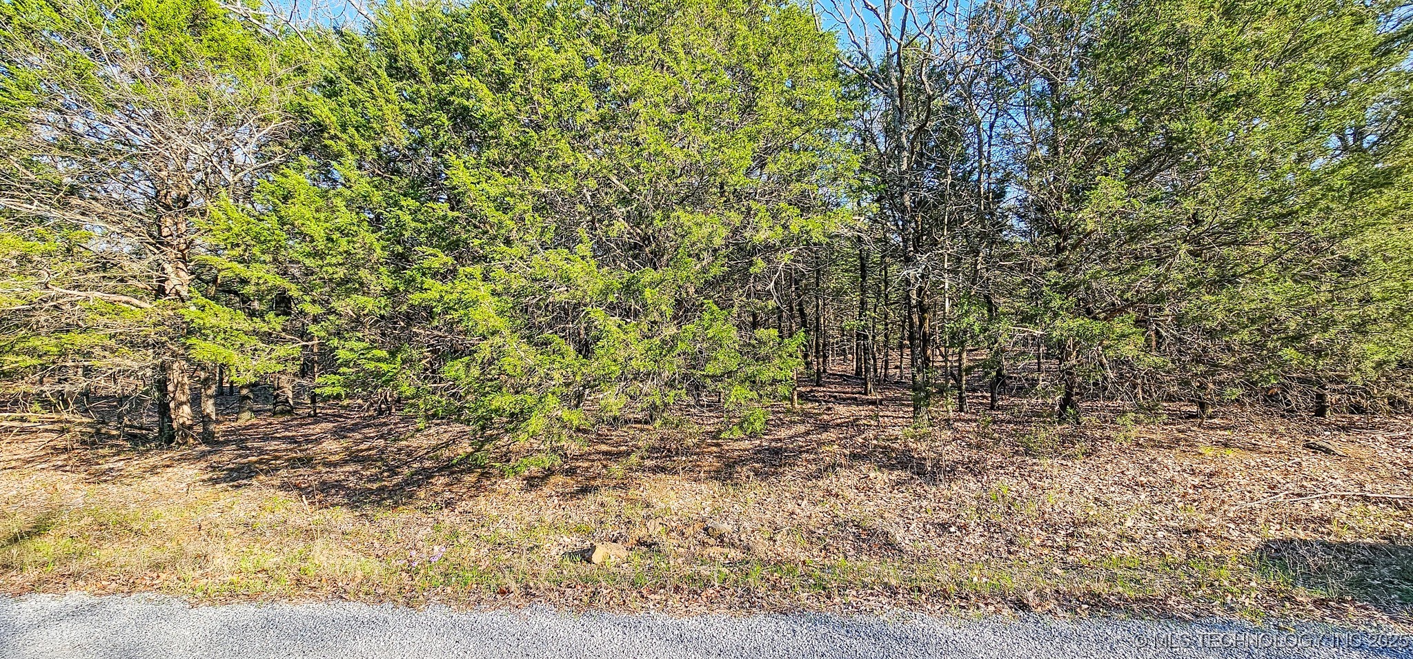 11 Buds Point Property Photo 9