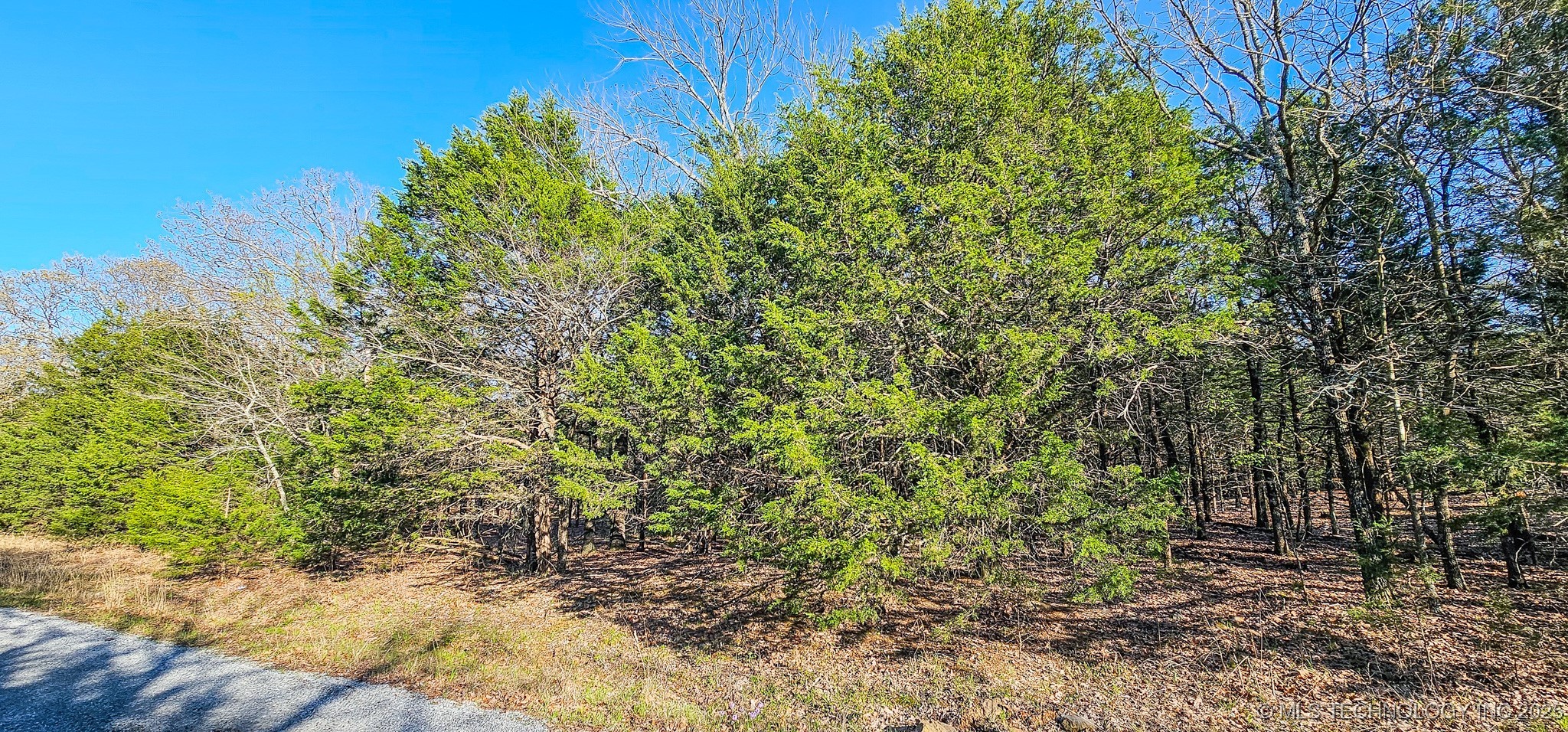 11 Buds Point Property Photo 10