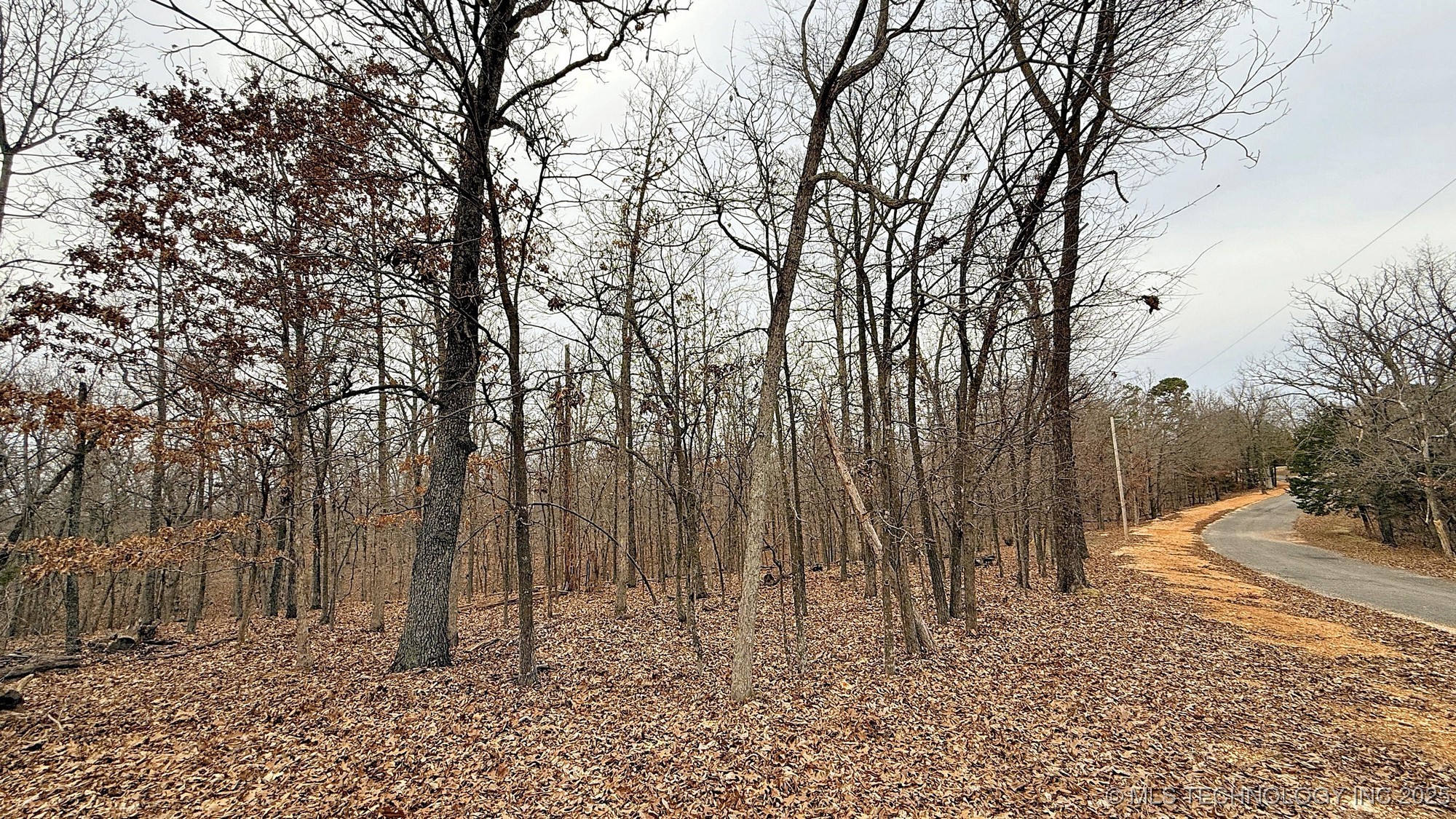 23167 Flint Ridge Drive Property Photo 3