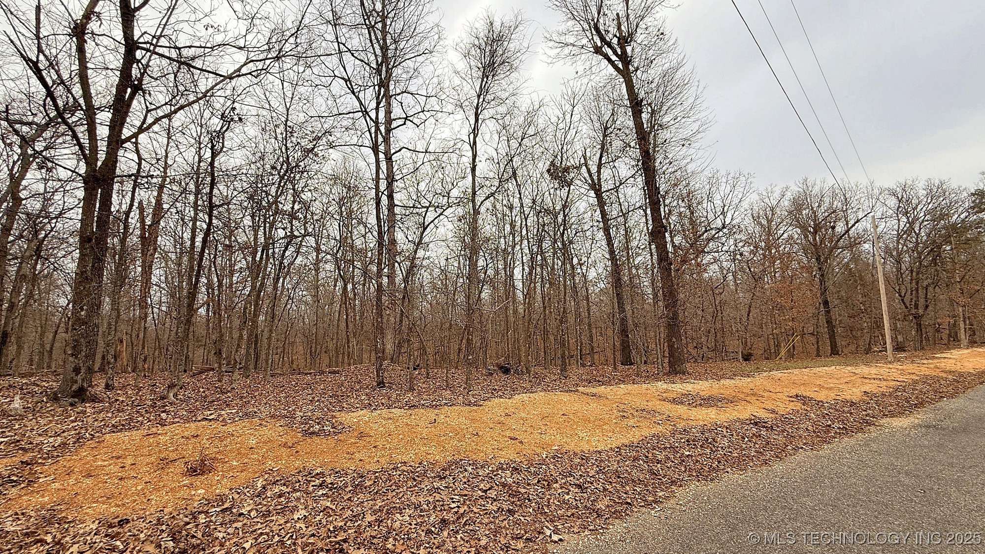 23167 Flint Ridge Drive Property Photo 5