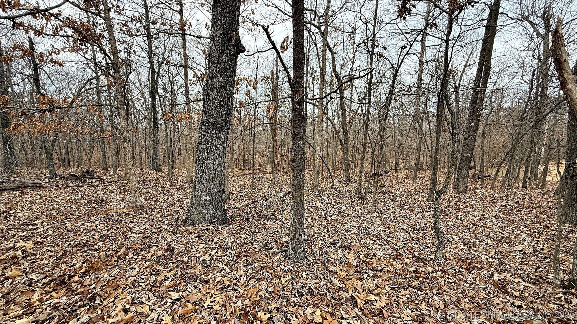 23167 Flint Ridge Drive Property Photo 6