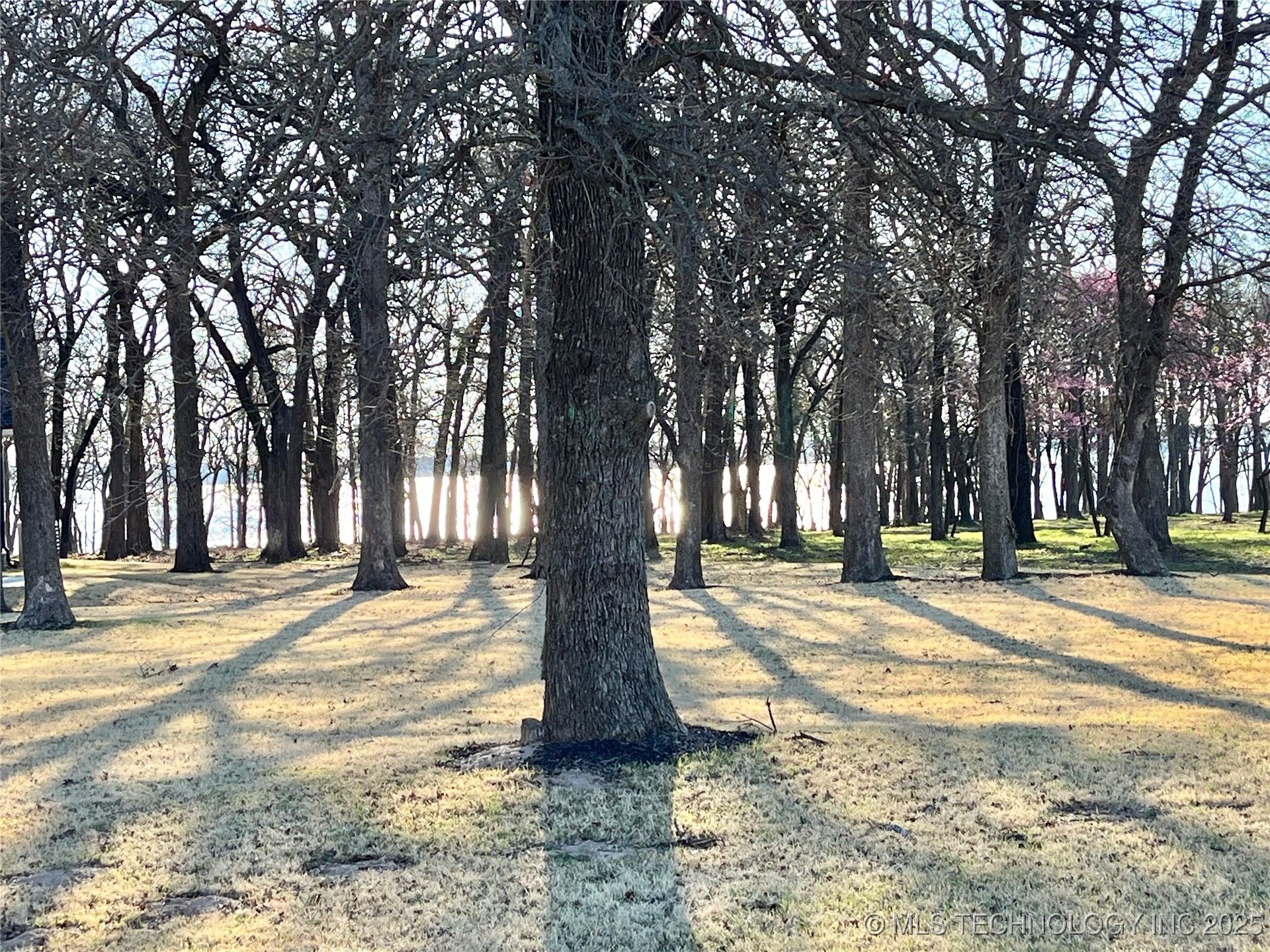 Scenic View Road Property Photo 3