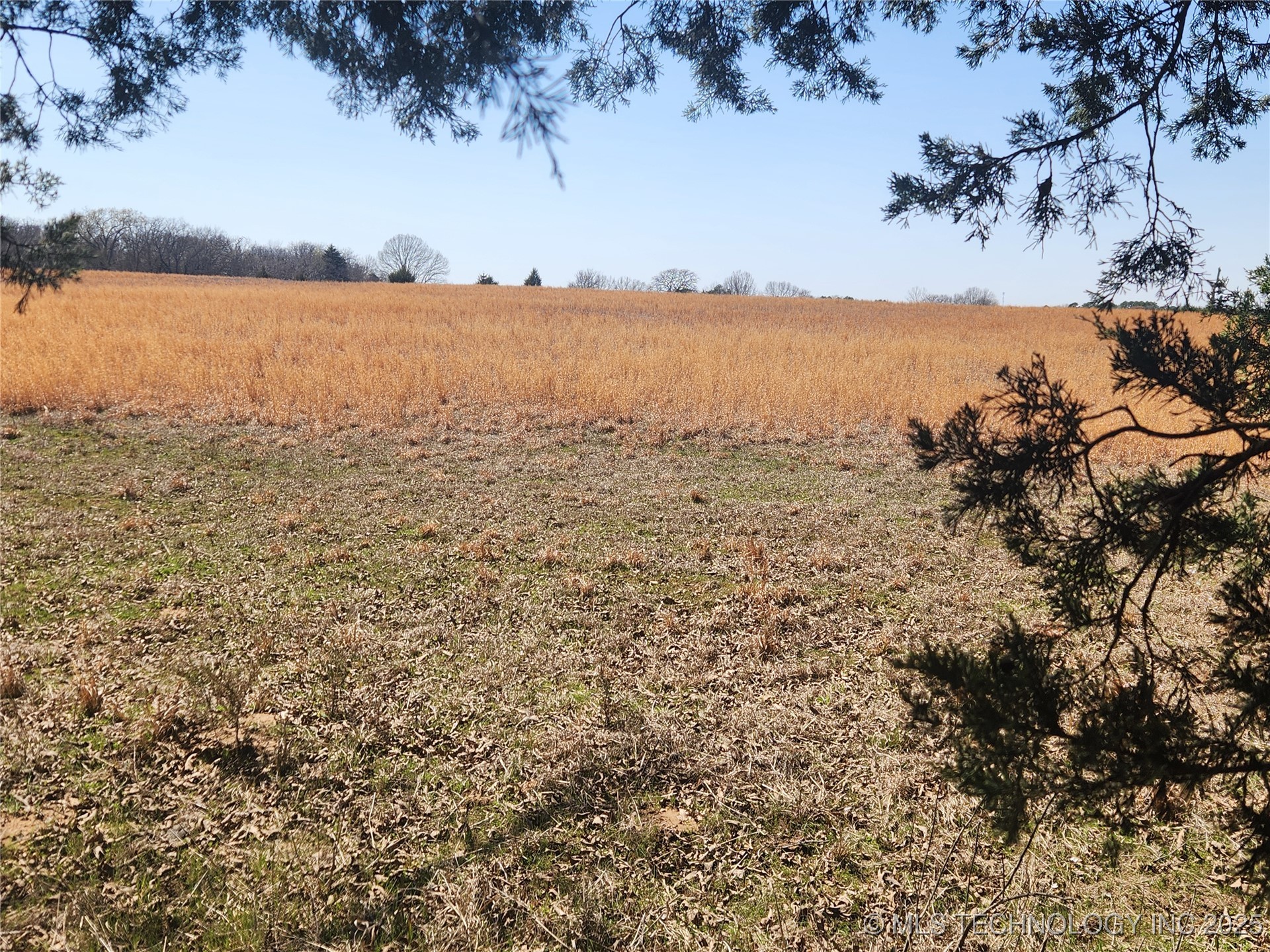 S Research Road Property Photo