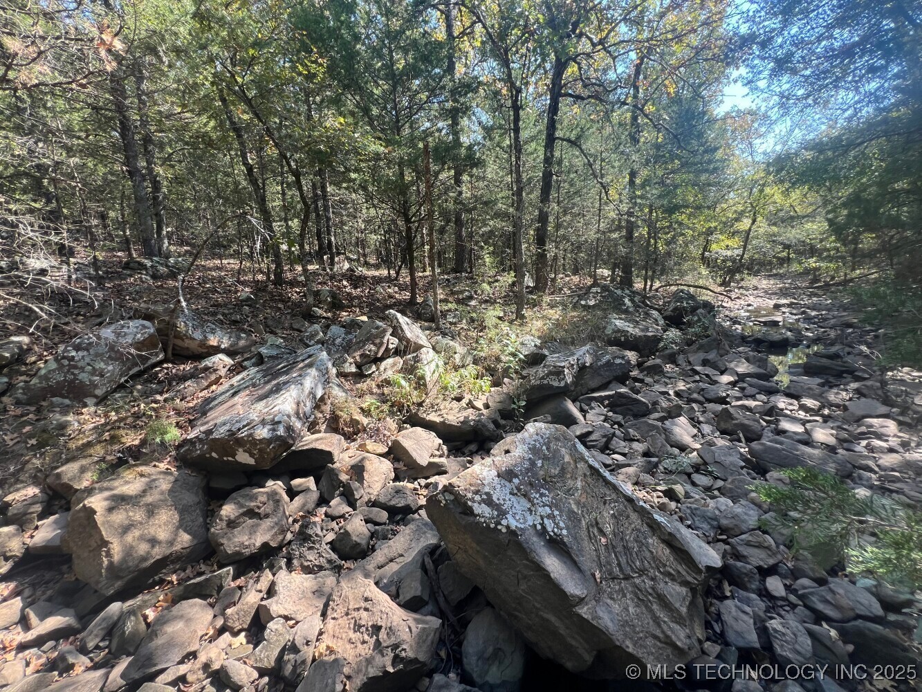 388 Property Photo 18