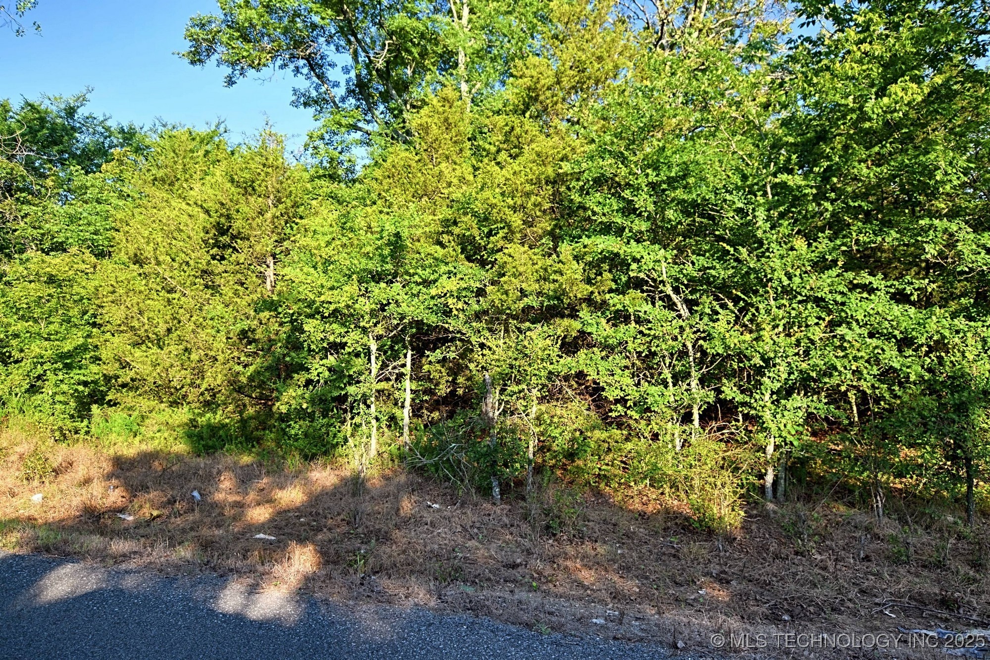 W Stone Chapel Road Property Photo 4