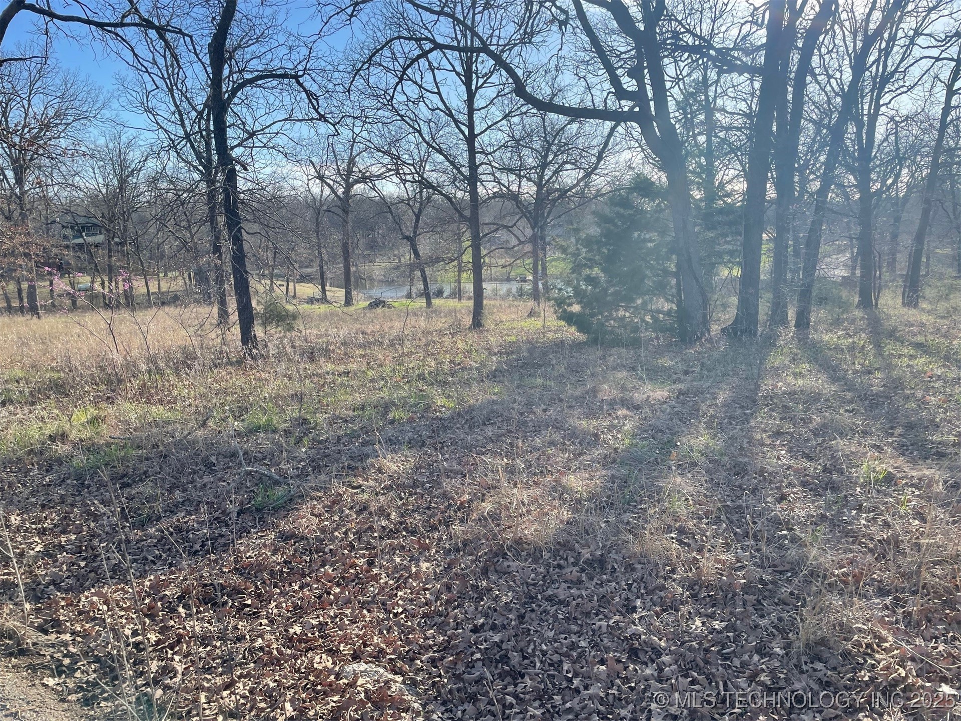 Bridlewood Drive Property Photo