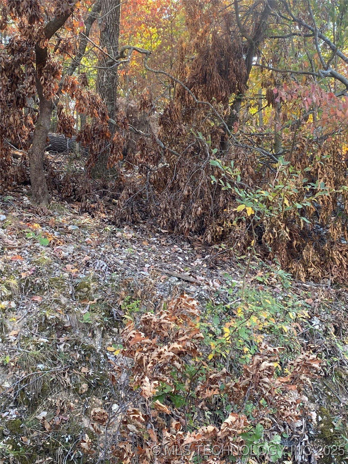 Walnut Street Property Photo 2