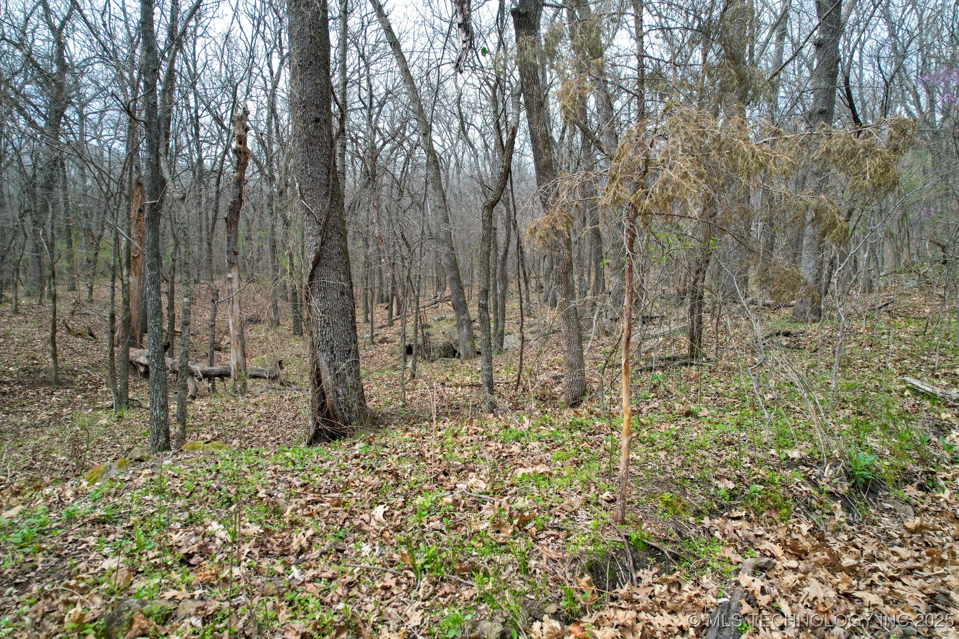 135 E 620 Road Property Photo 54
