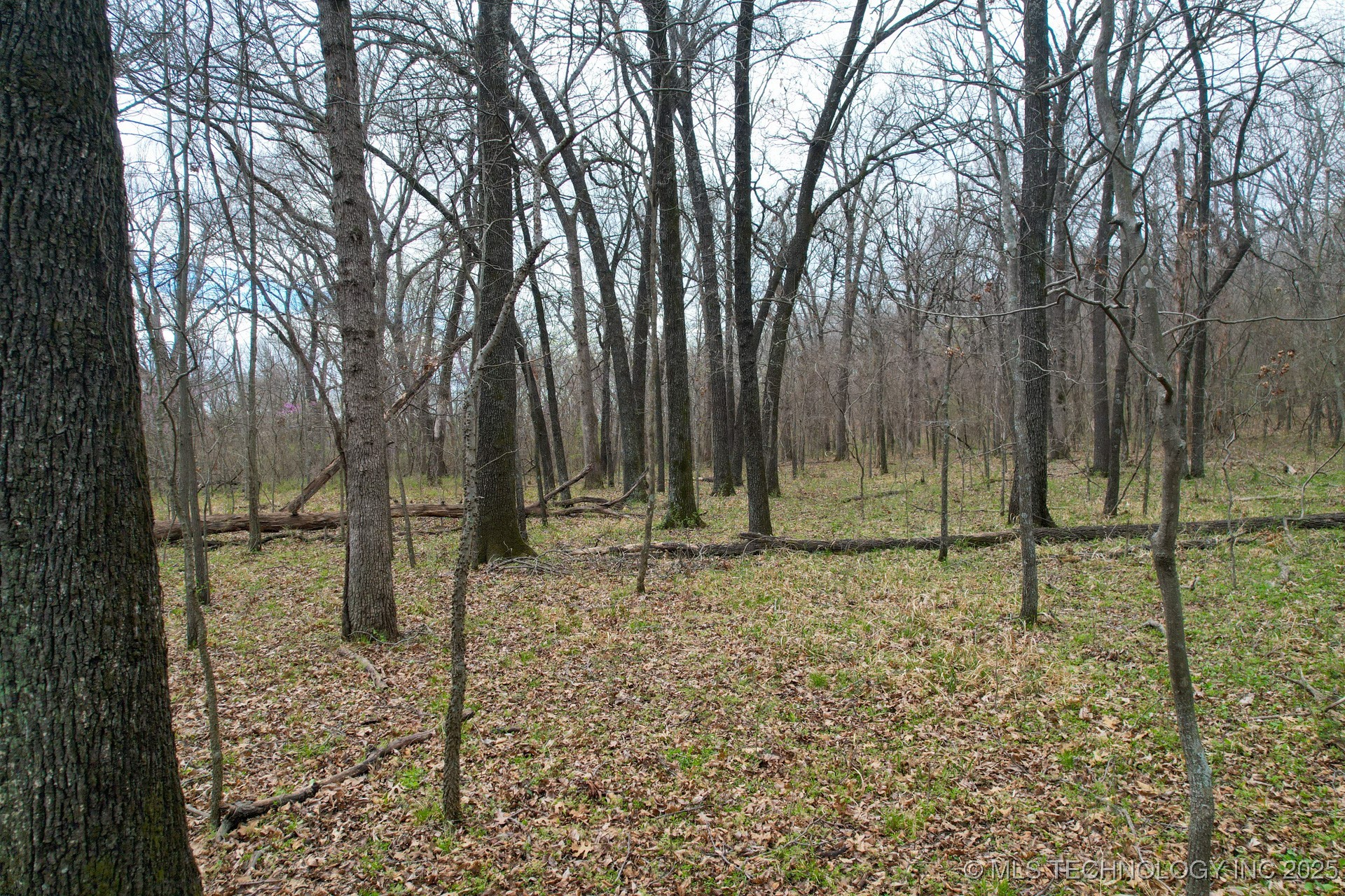 135 E 620 Road Property Photo 56