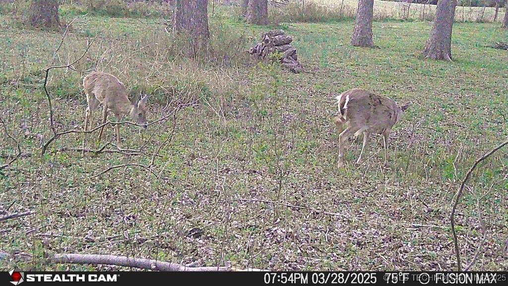 29194 S 4205 Road Property Photo 21