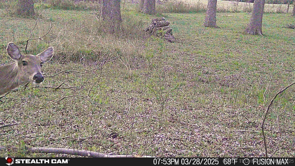 29194 S 4205 Road Property Photo 22