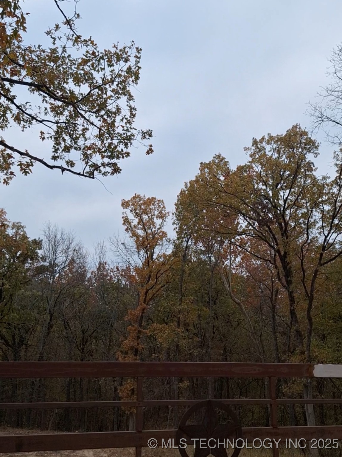 Dogwood Lane Property Photo 2