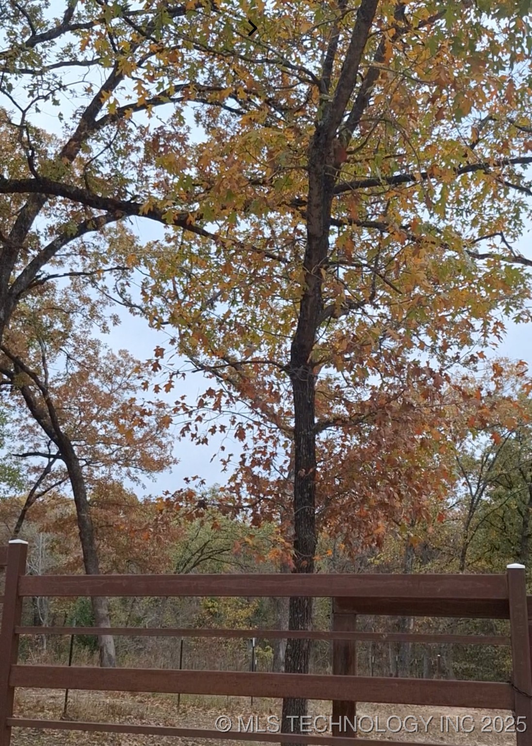 Dogwood Lane Property Photo 3