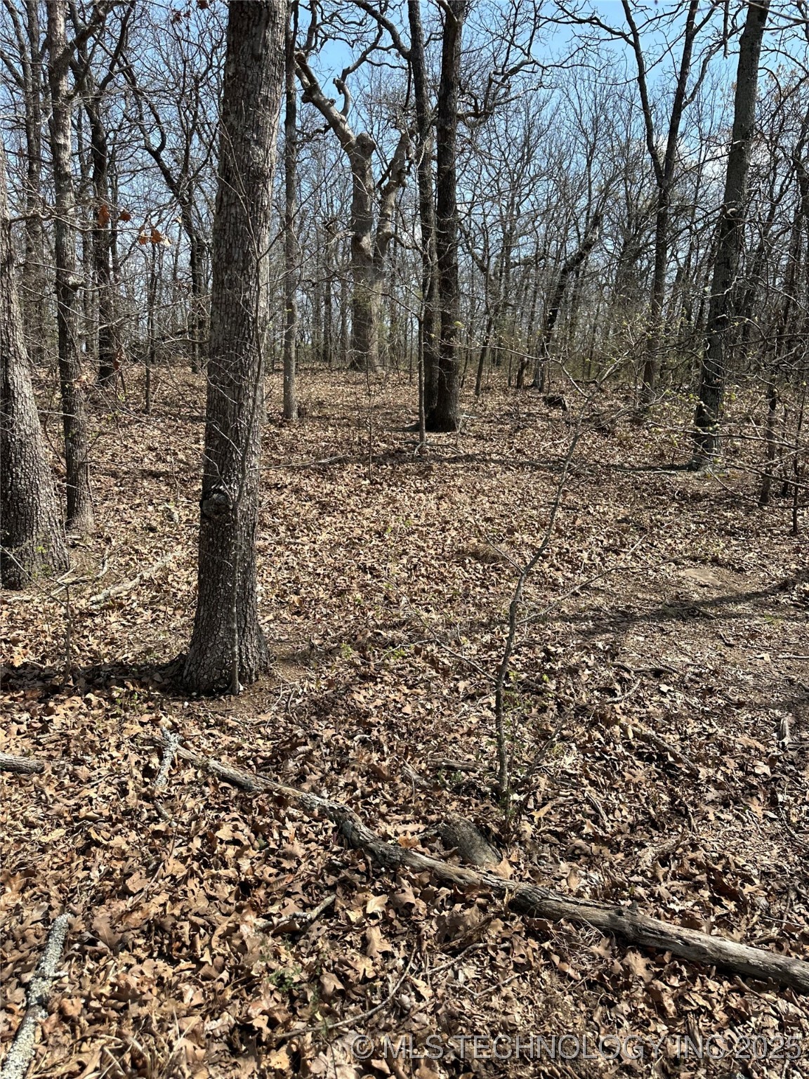 Will Sampson Road Property Photo 12