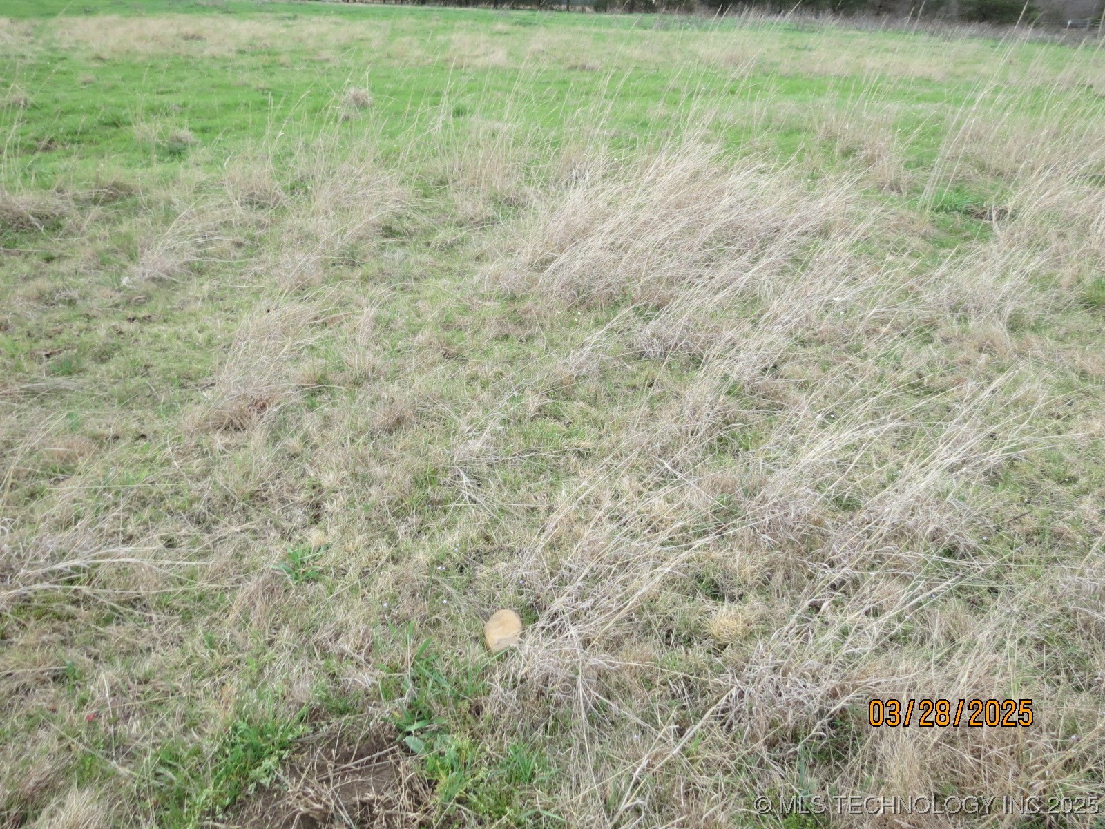 00 Sw 160 Road Property Photo 12