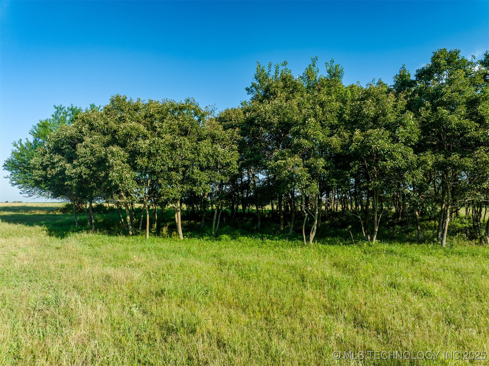 4 Hwy 62 Property Photo 30