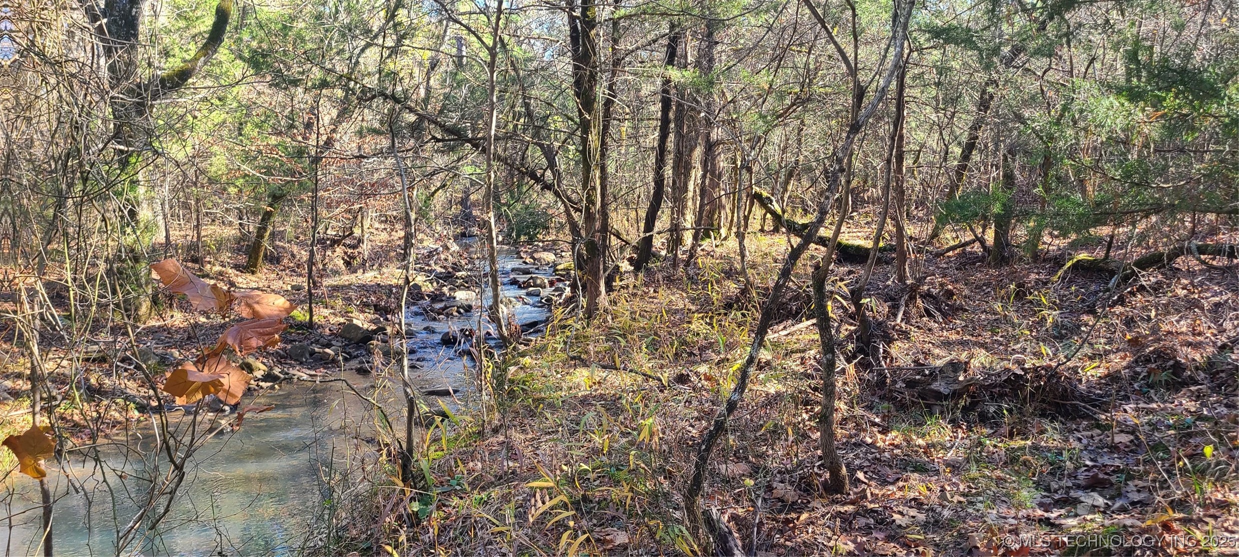 00001 Indian Highway Property Photo 3
