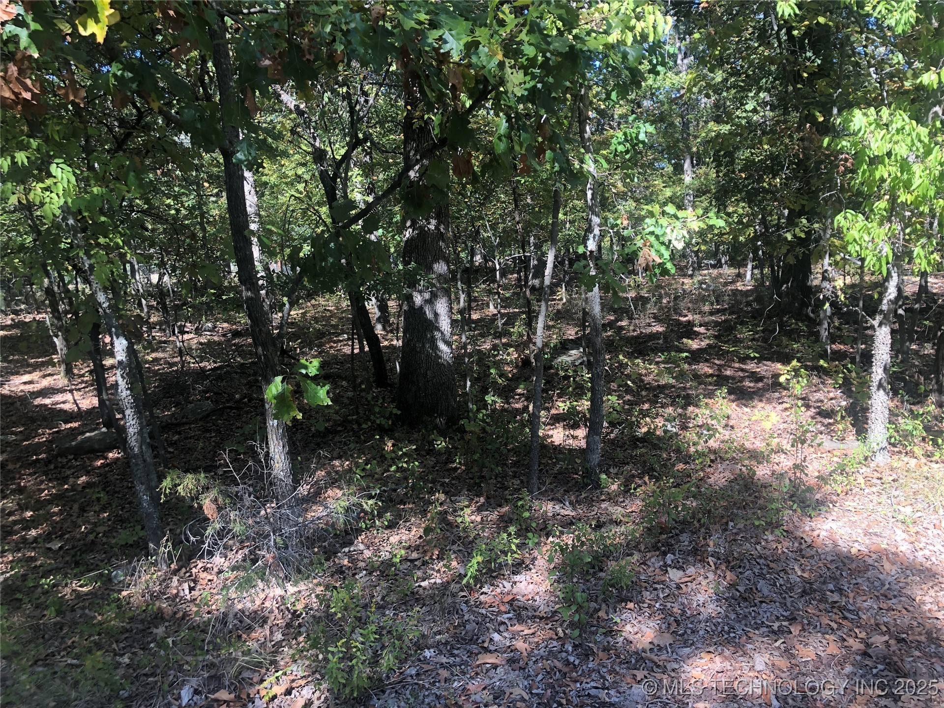 E 703 Road Property Photo 5
