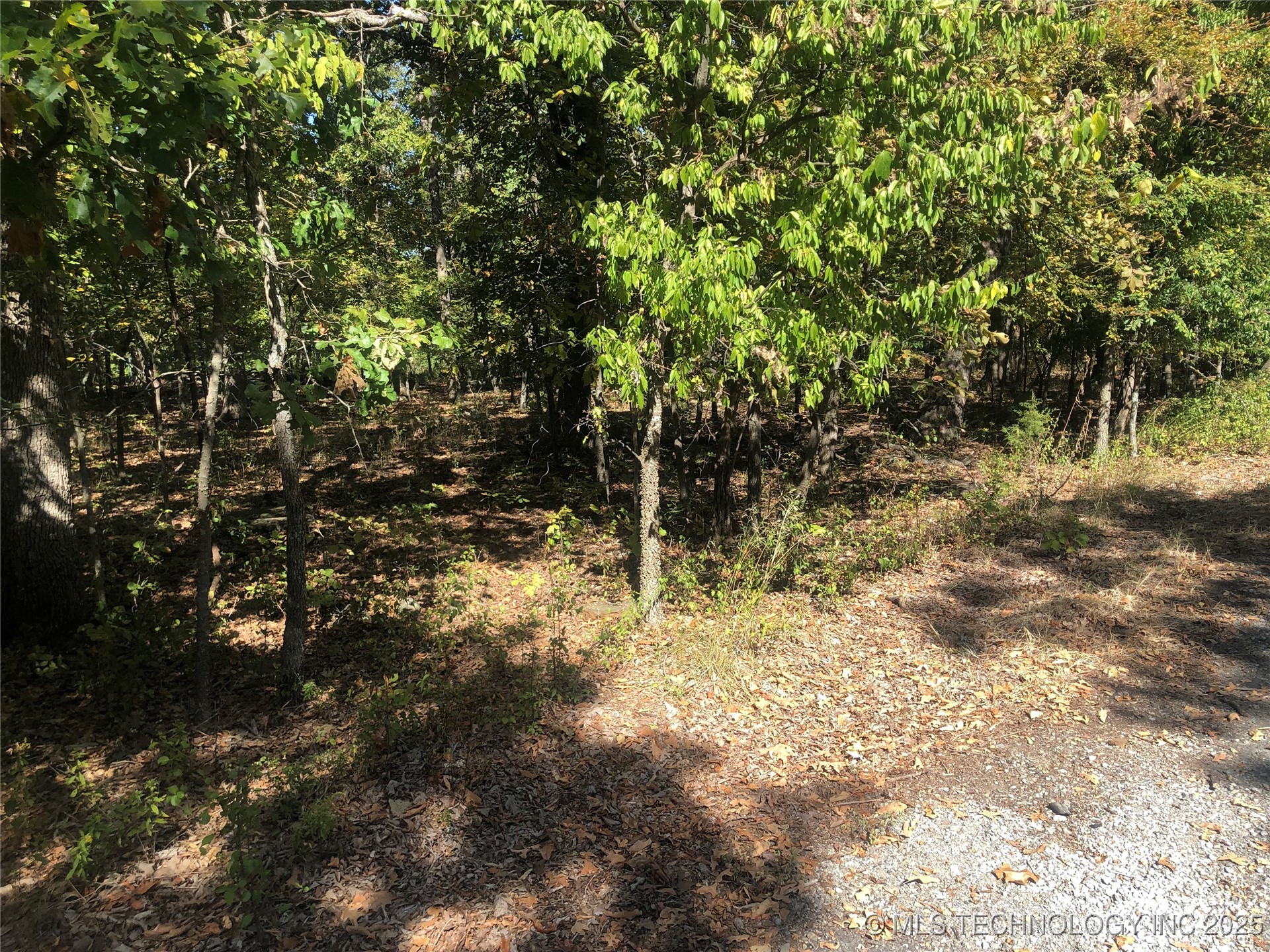 E 703 Road Property Photo 6