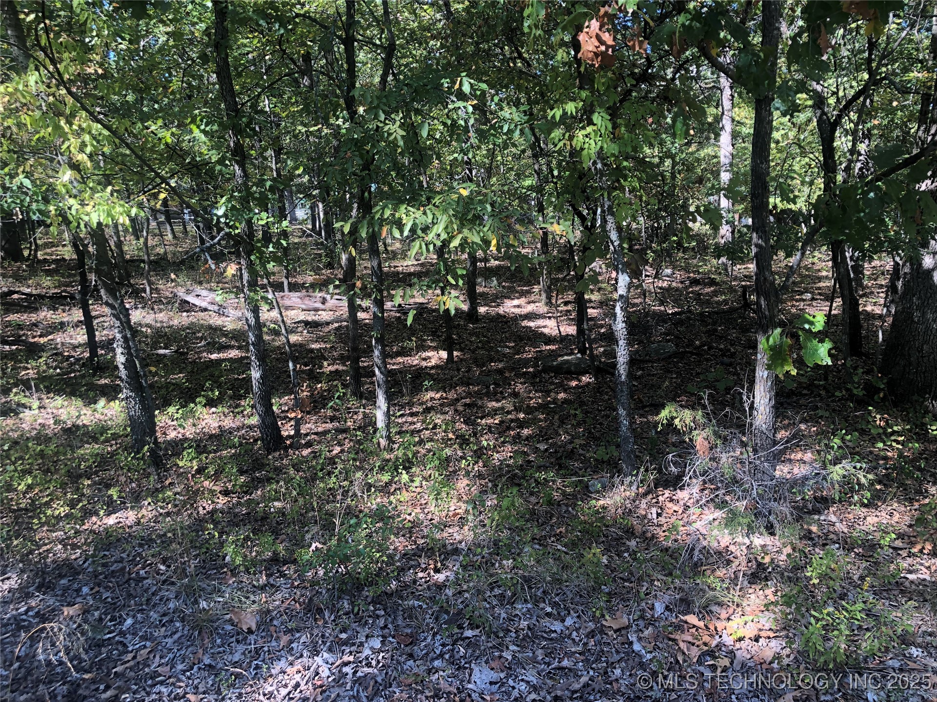 E 703 Road Property Photo 8