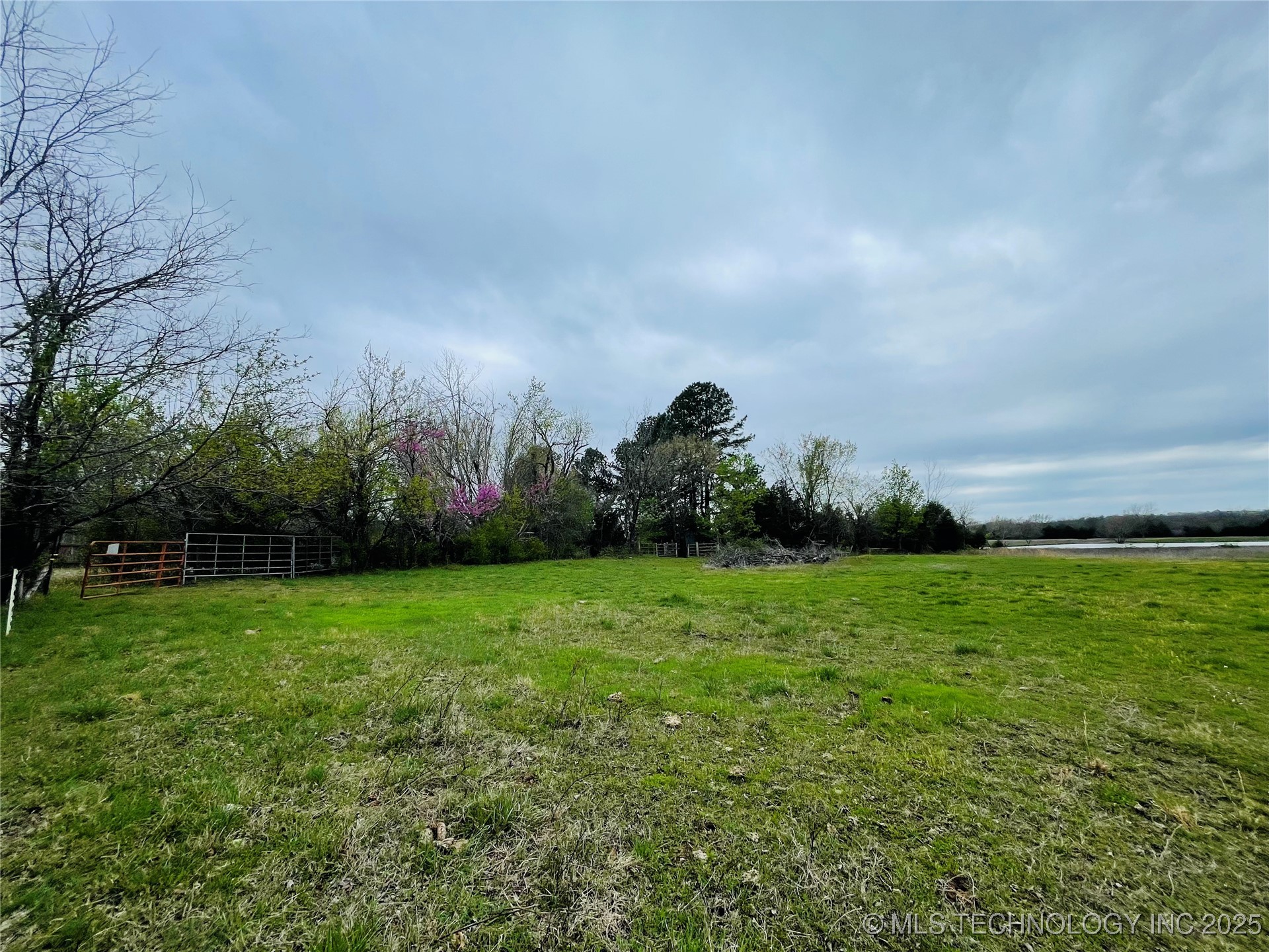 Hickory Street Property Photo 8