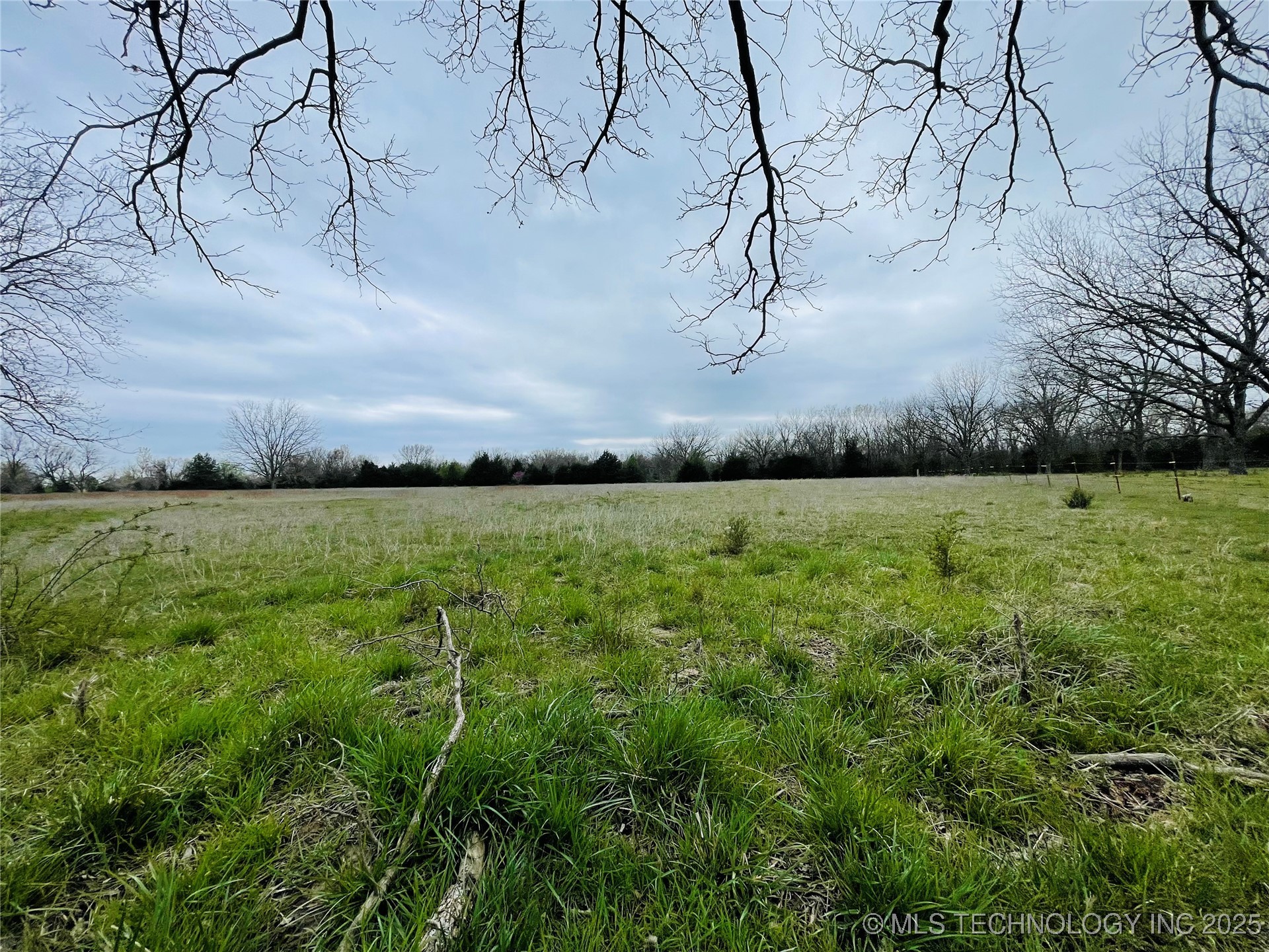 Hickory Street Property Photo 9