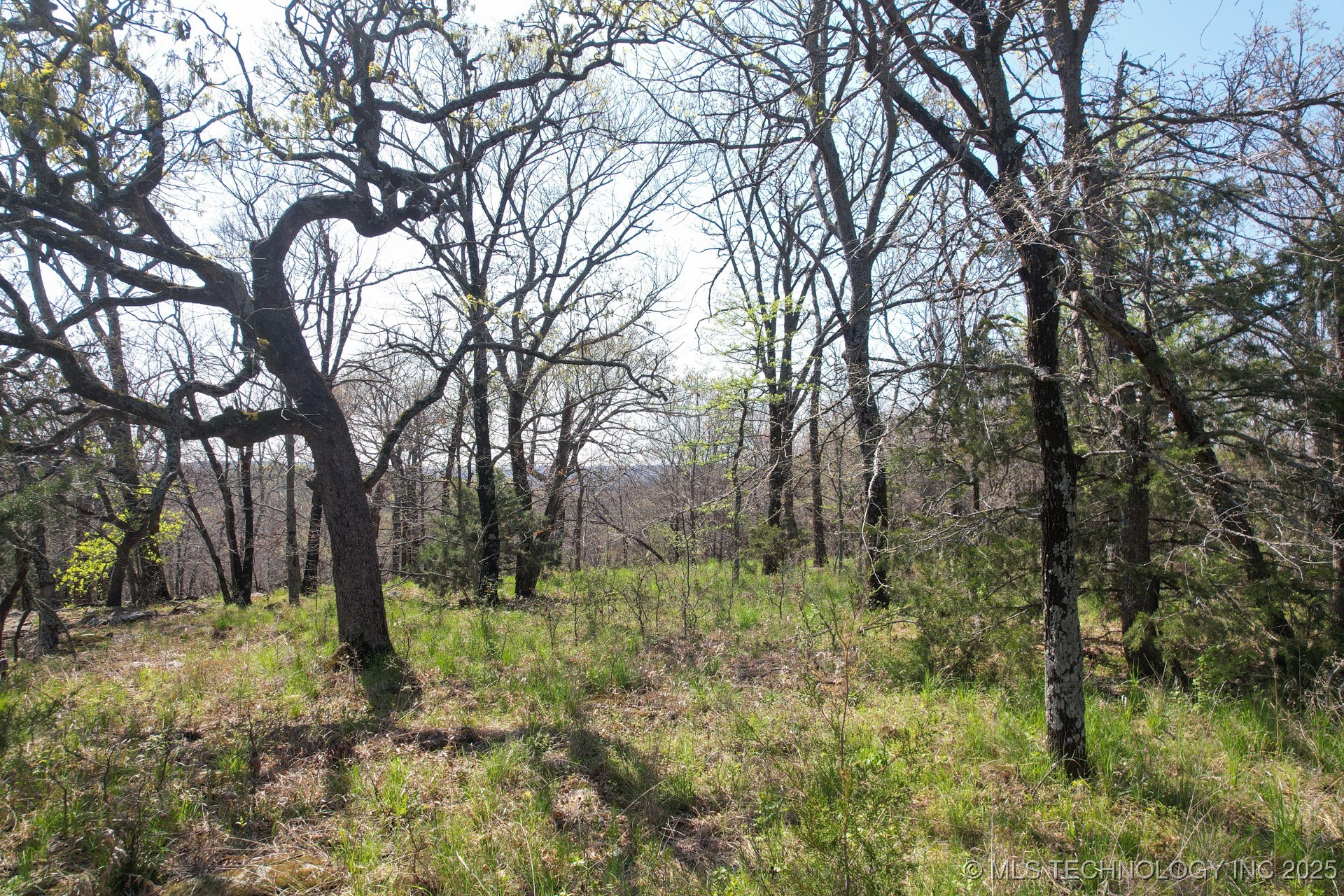 16 Lazy Oak Lane Property Photo 4