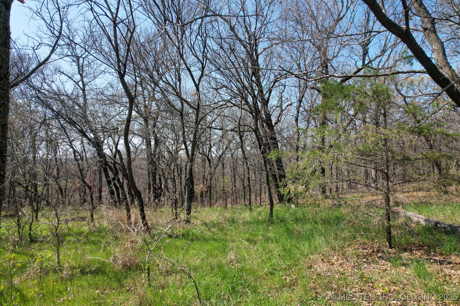 16 Lazy Oak Lane Property Photo 11