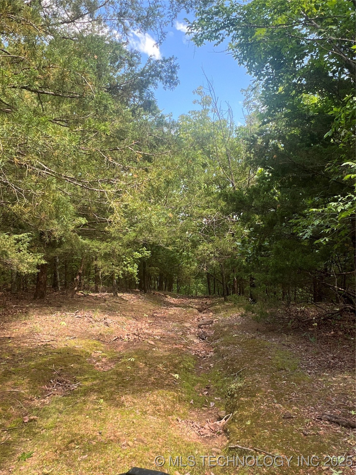 13404 96 Road Property Photo 73