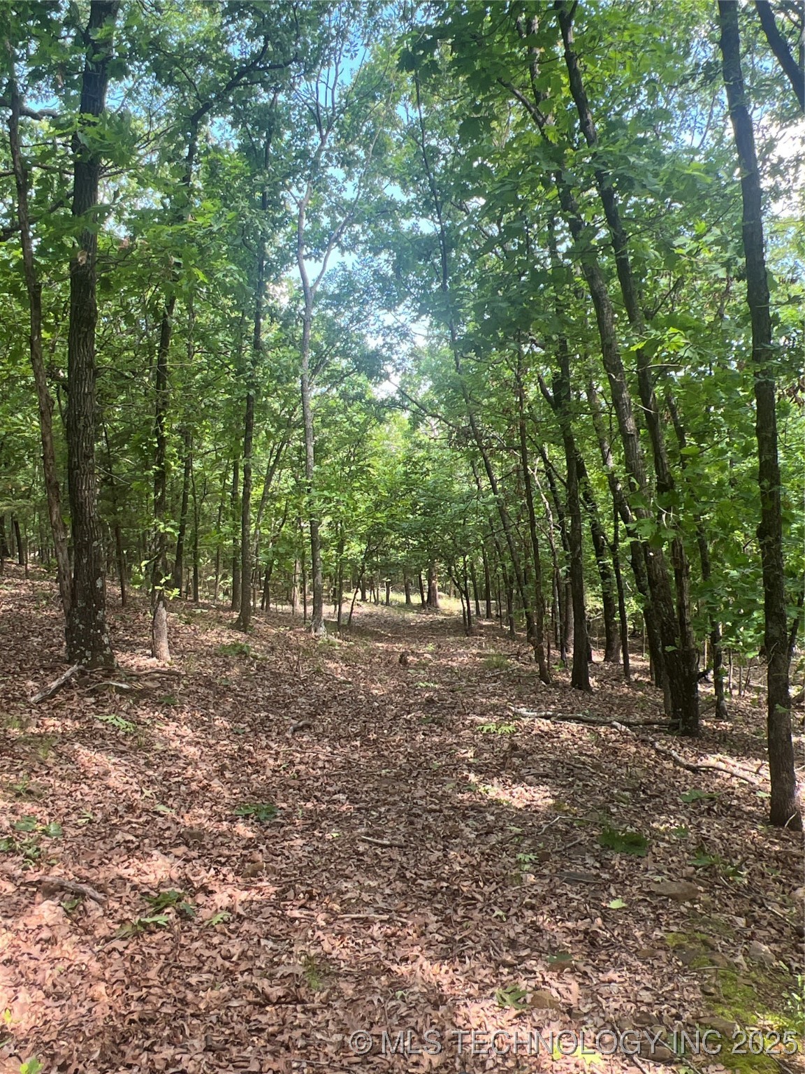 13404 96 Road Property Photo 75
