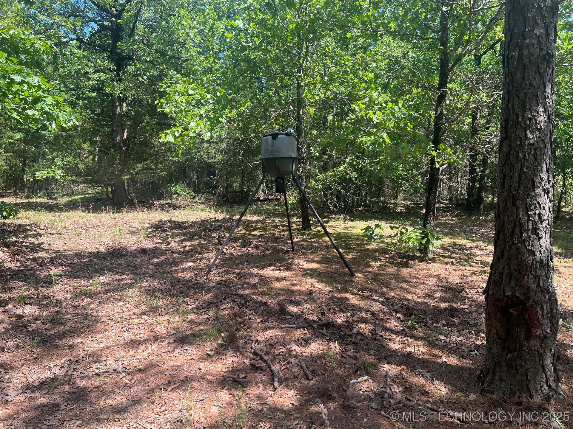 13404 96 Road Property Photo 80