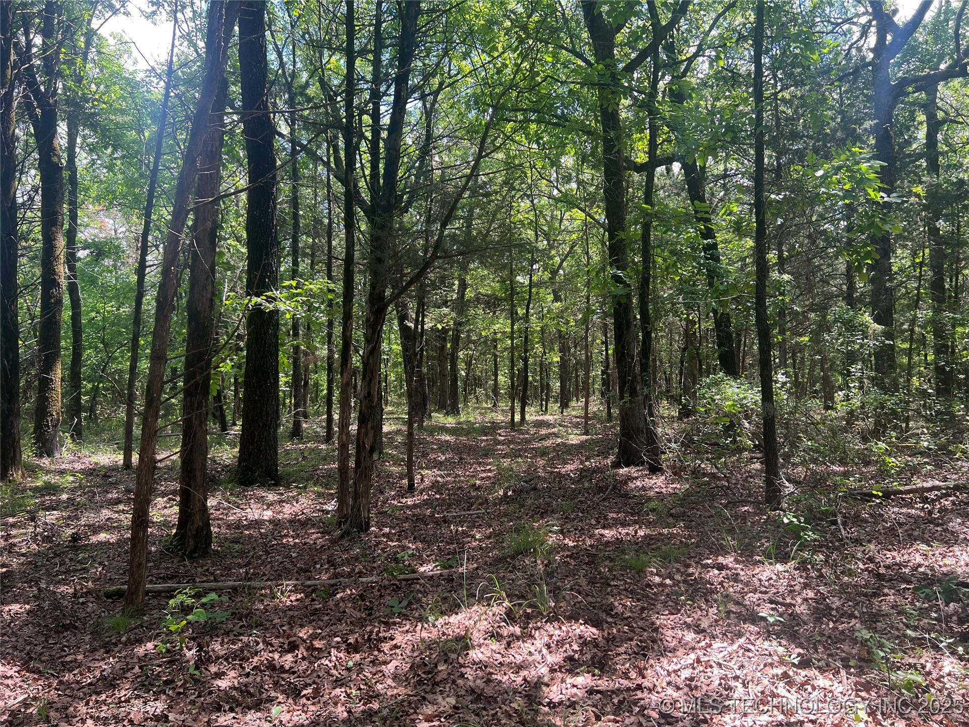 13404 96 Road Property Photo 81