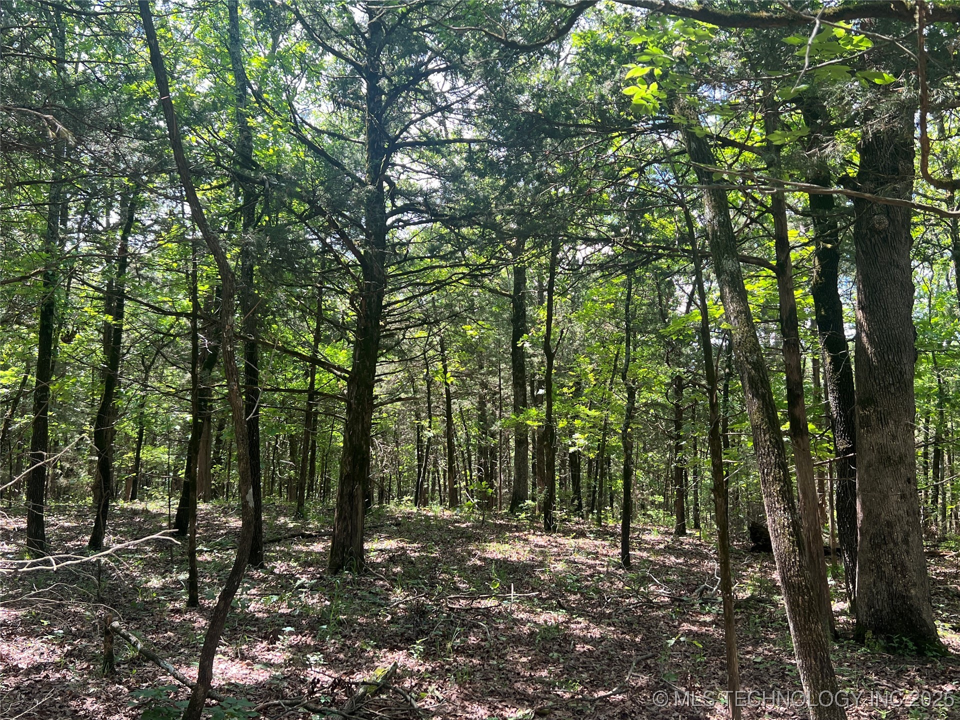 13404 96 Road Property Photo 83