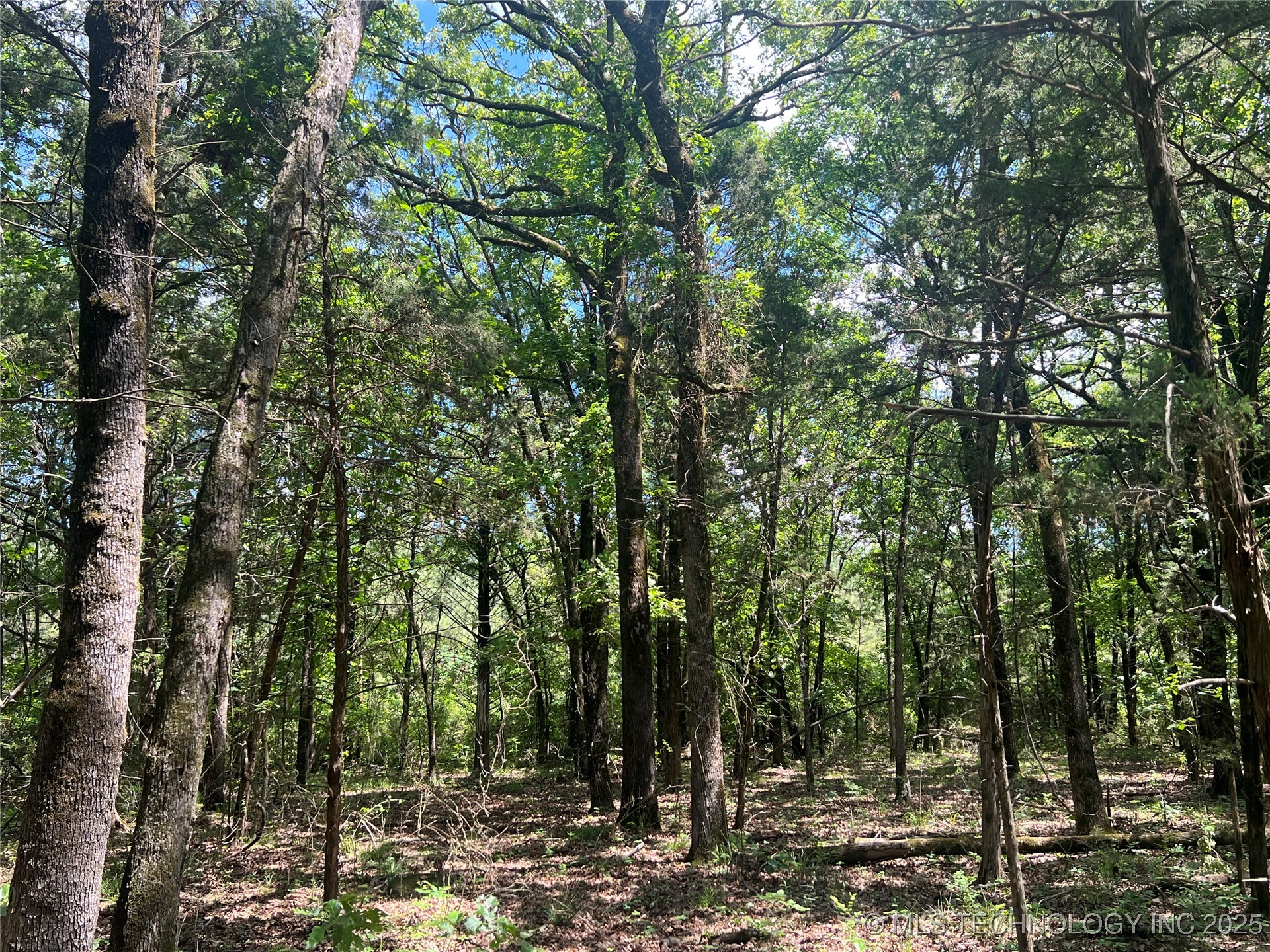 13404 96 Road Property Photo 85