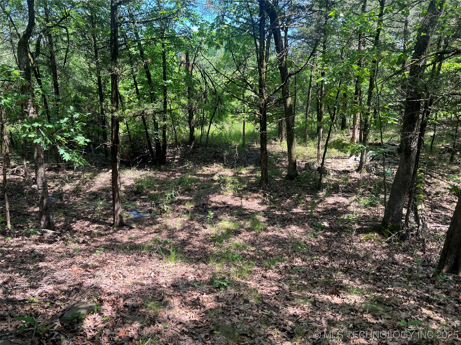 13404 96 Road Property Photo 87
