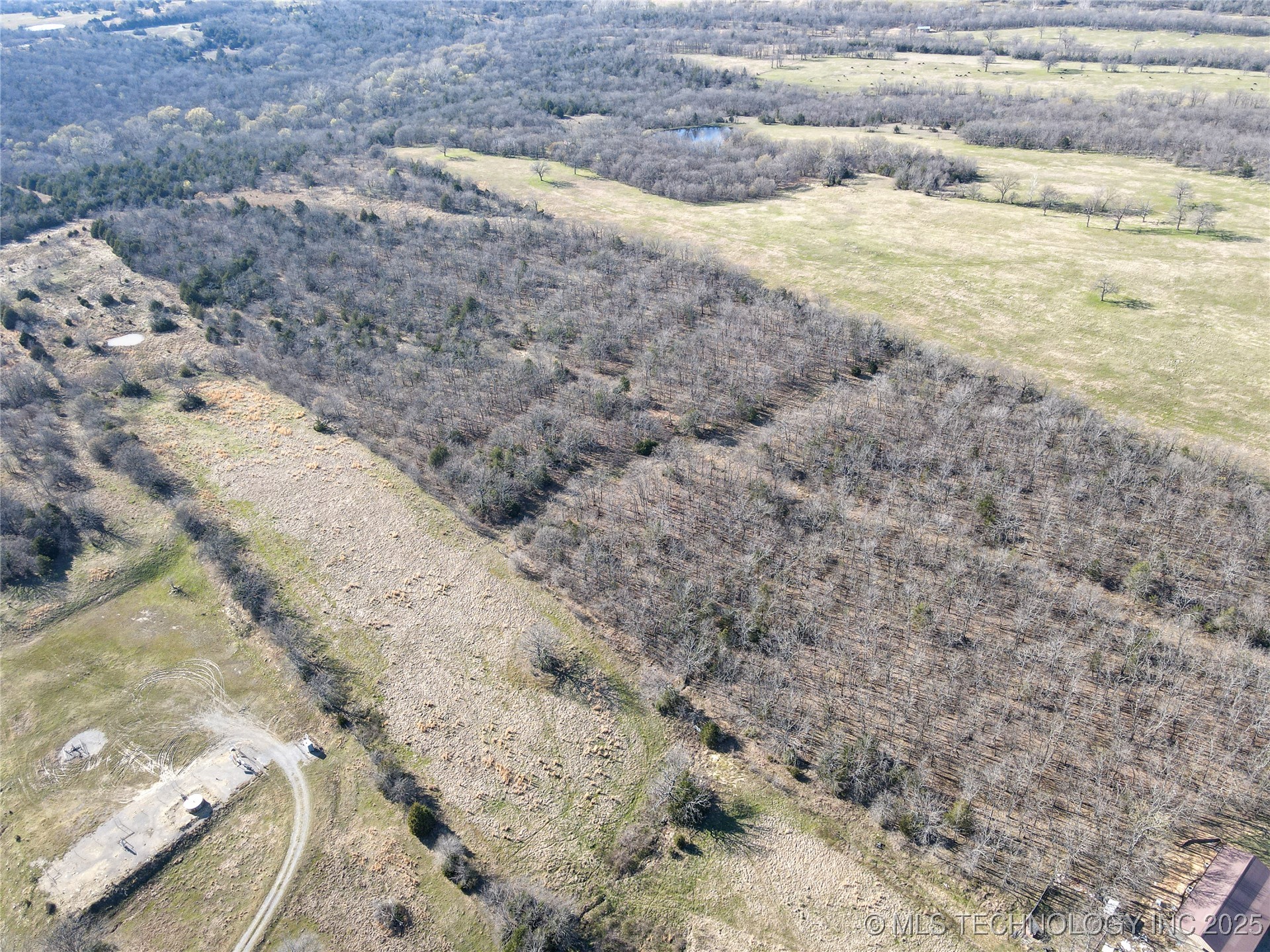 Alderson Road Property Photo 5