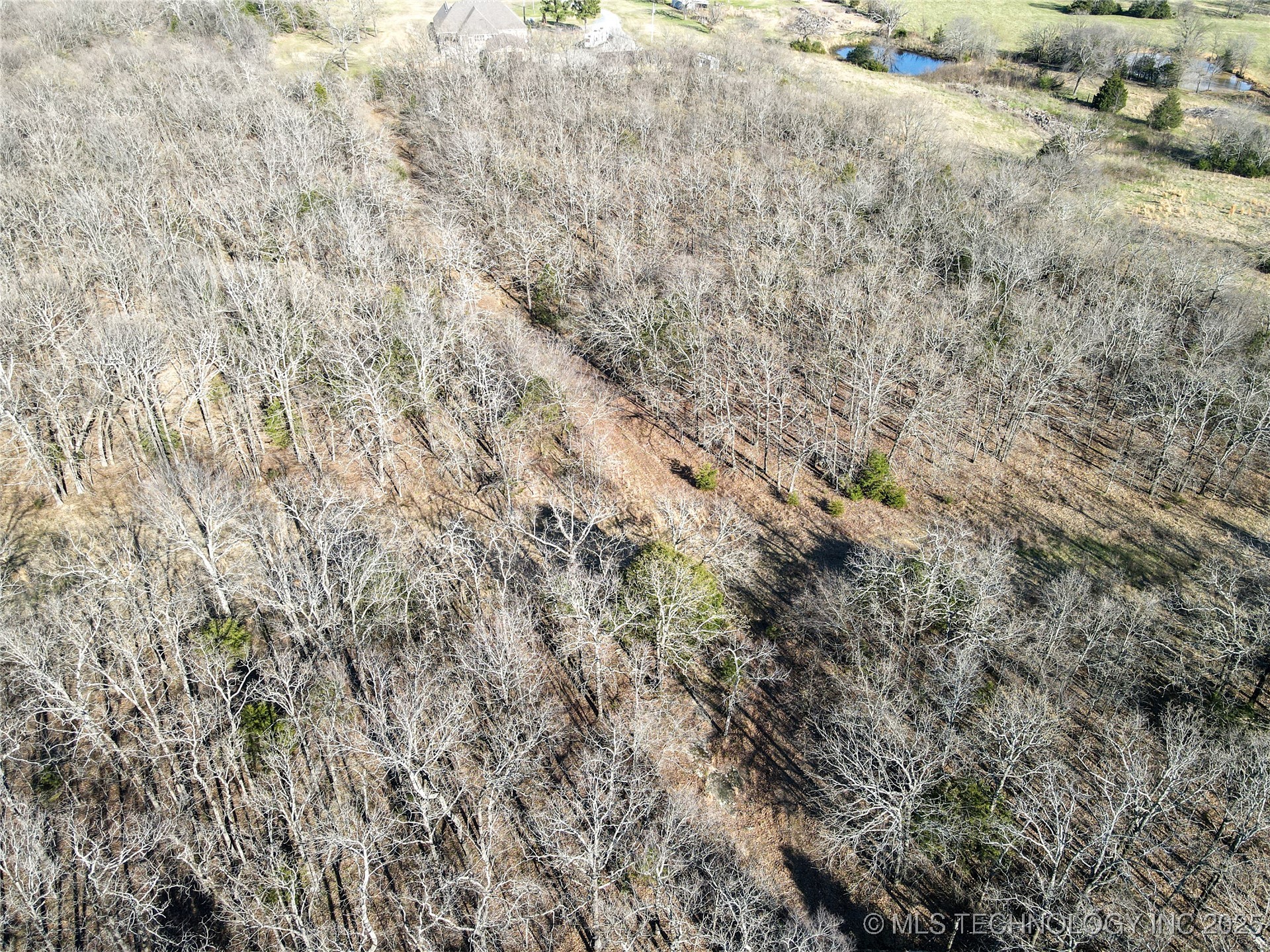 Alderson Road Property Photo 11