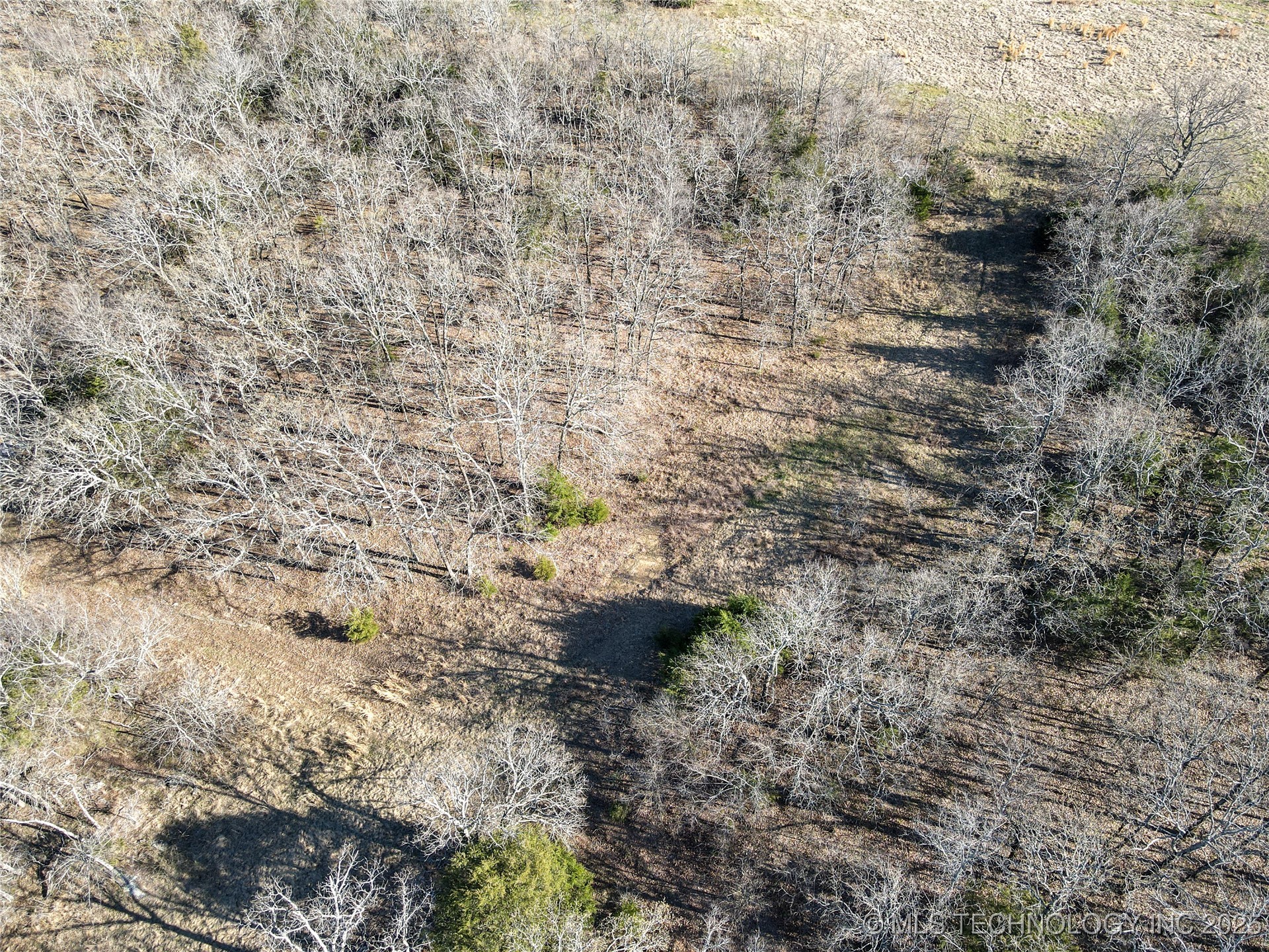Alderson Road Property Photo 13