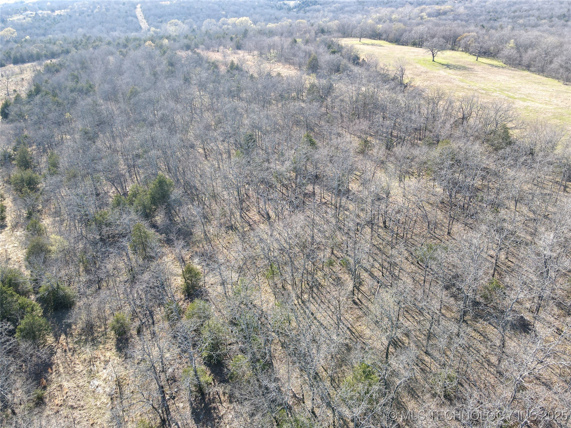 Alderson Road Property Photo 15