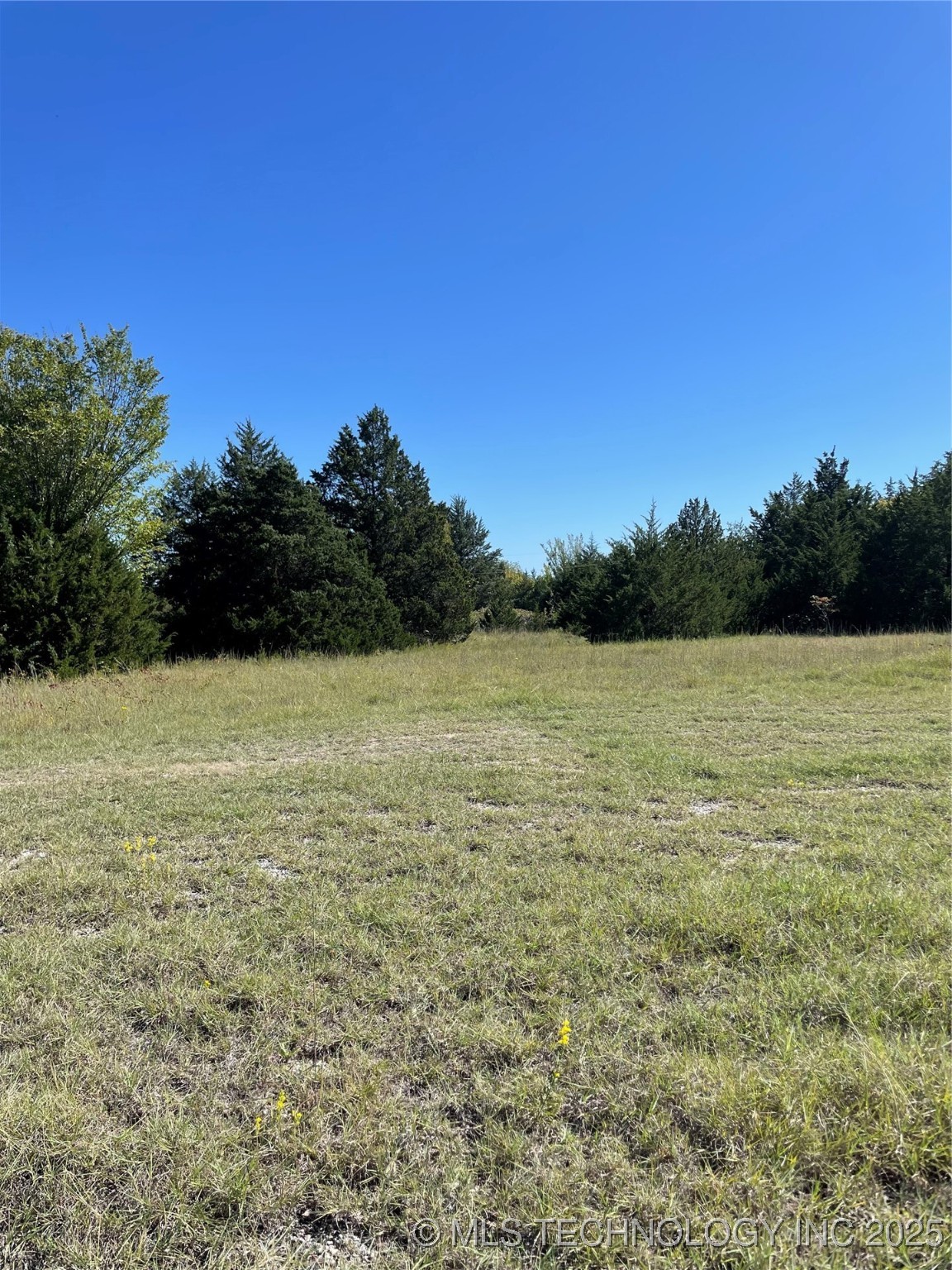 Falconhead Property Photo 1