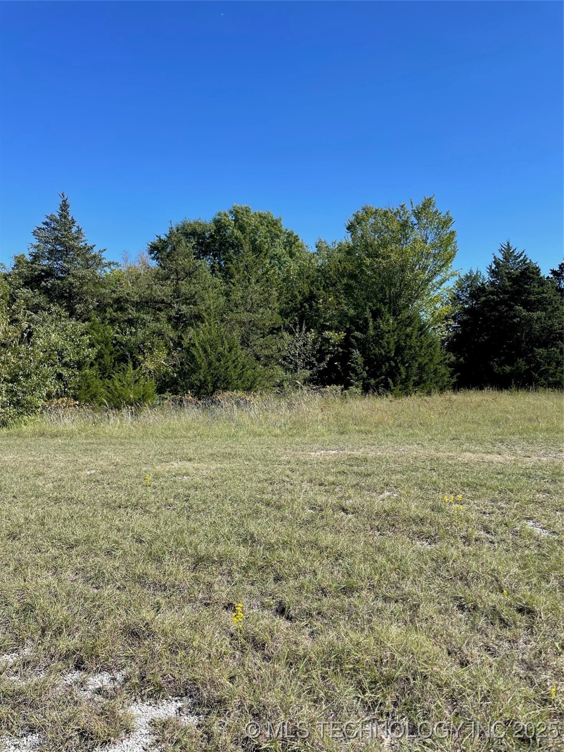 Falconhead Property Photo 3