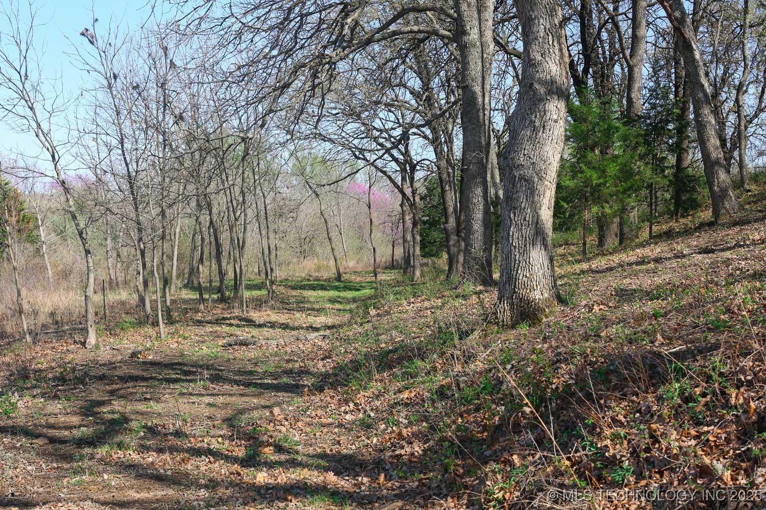 2700 Road Property Photo 57